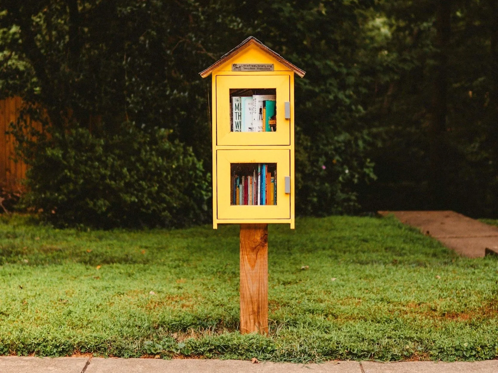 Little free library representing a library of ADHD resources