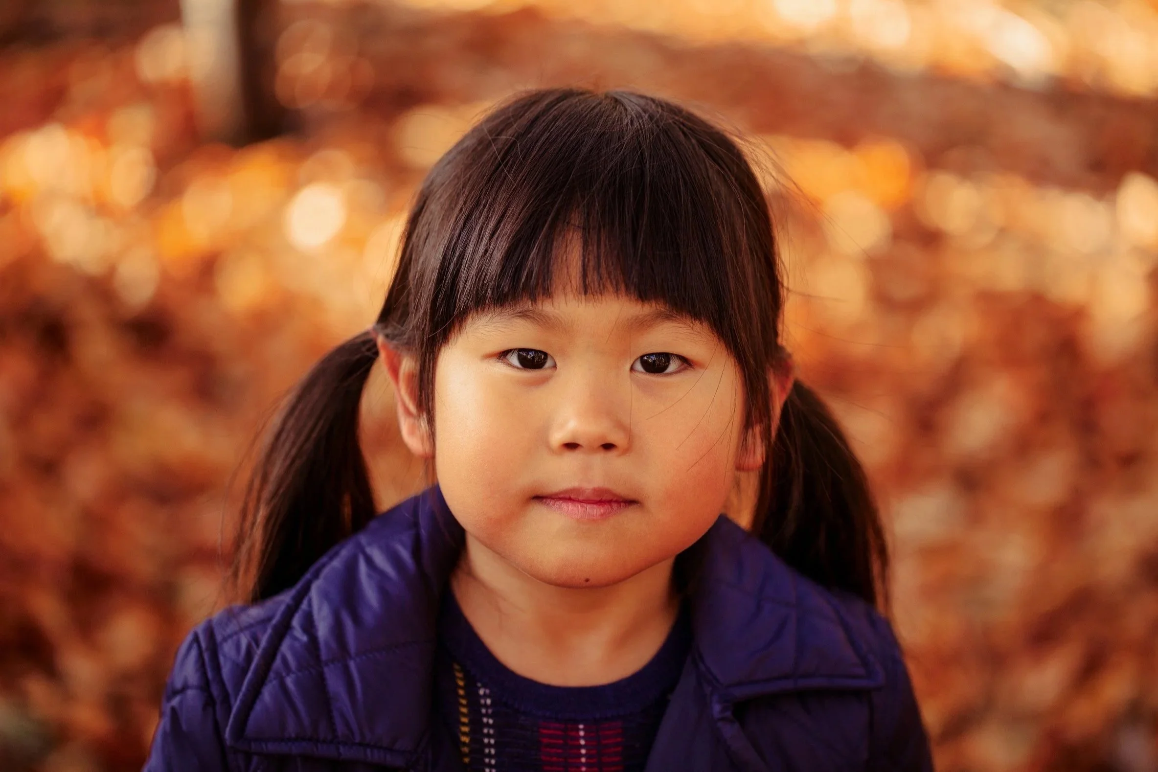 Close-up of a young girl with dark hair in pigtails, wearing a purple jacket, standing outdoors among fallen autumn leaves.
