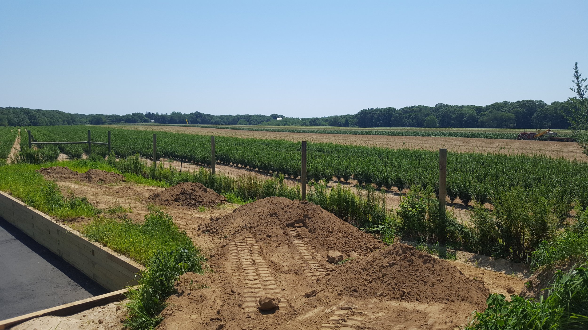 2017-08-01 12.22.39.jpg