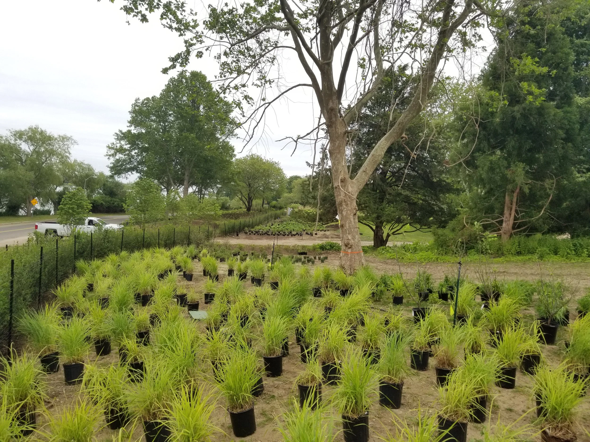 2019-06-10 13.59.07.jpg