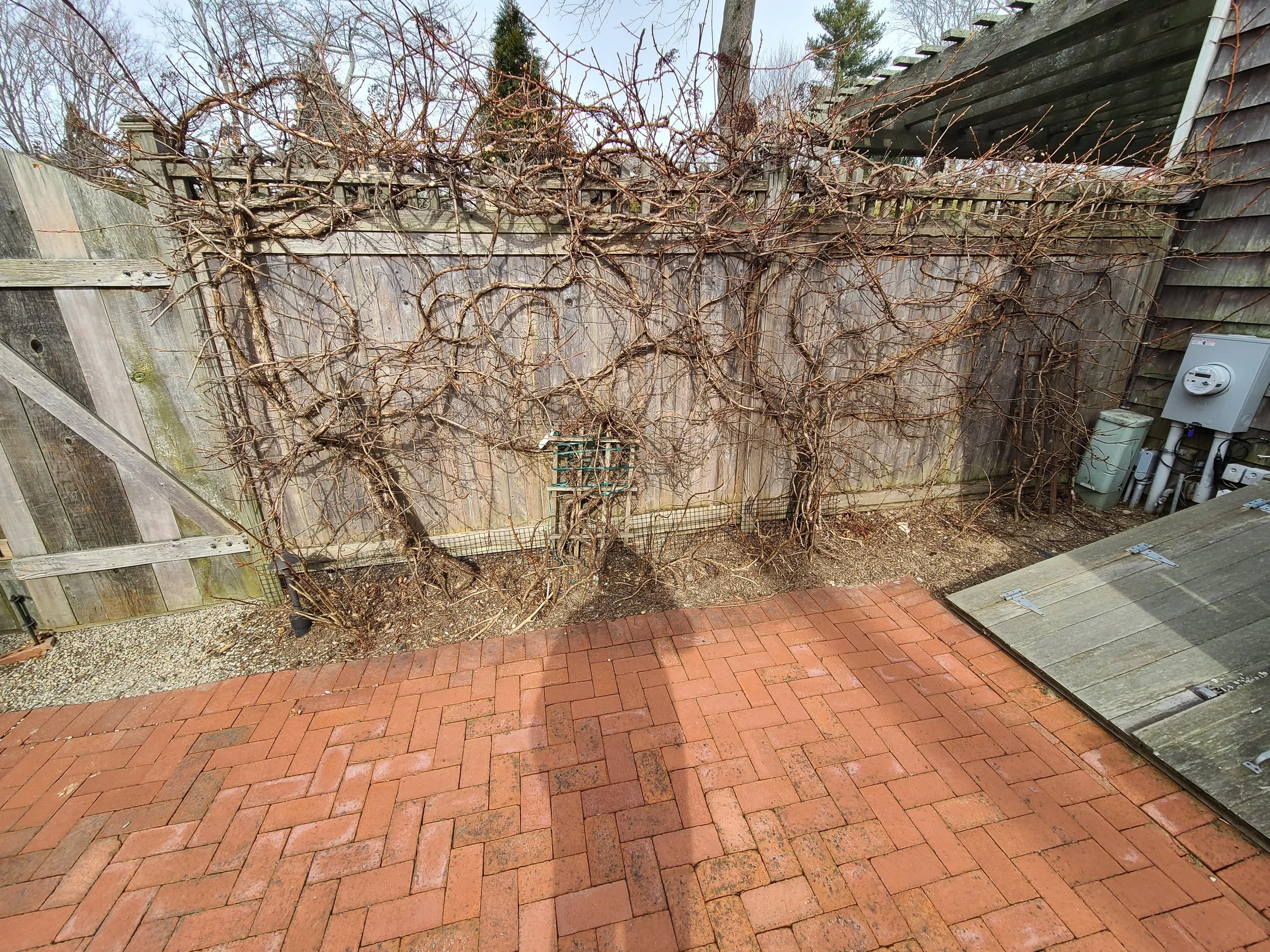 2021-01-31 12.59.17.jpg