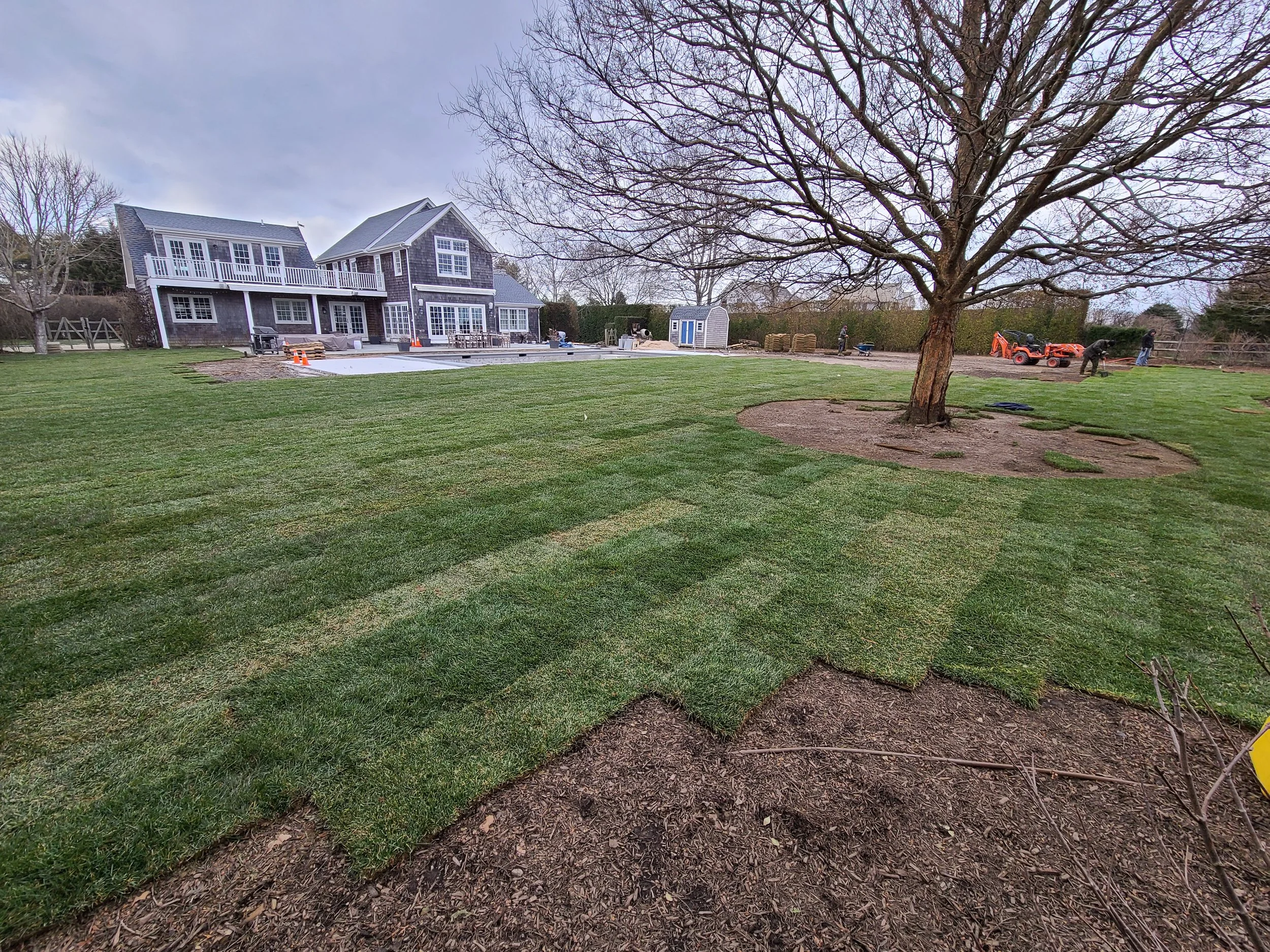 2021-01-08 15.12.15.jpg