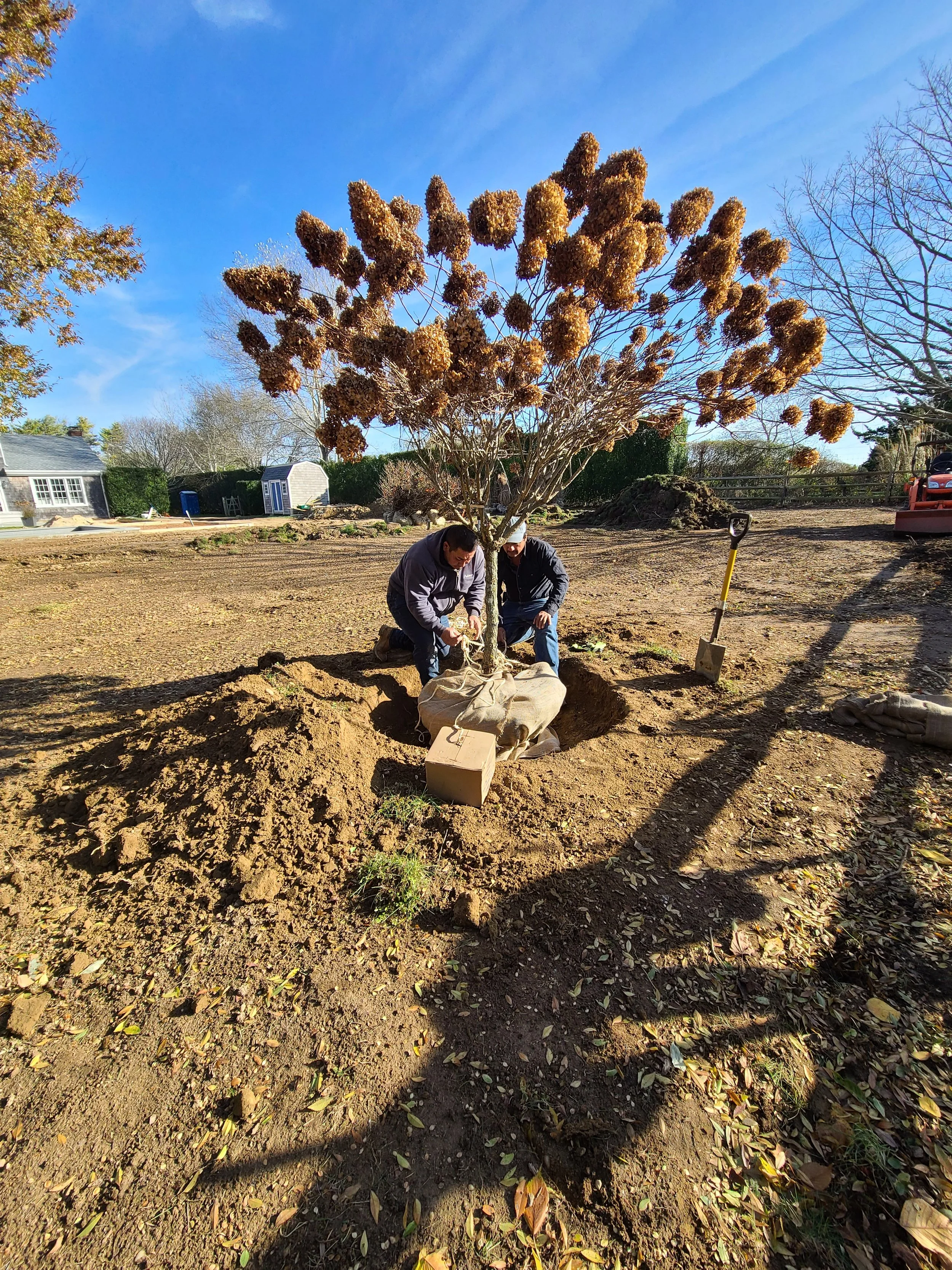 2020-11-20 09.44.28.jpg