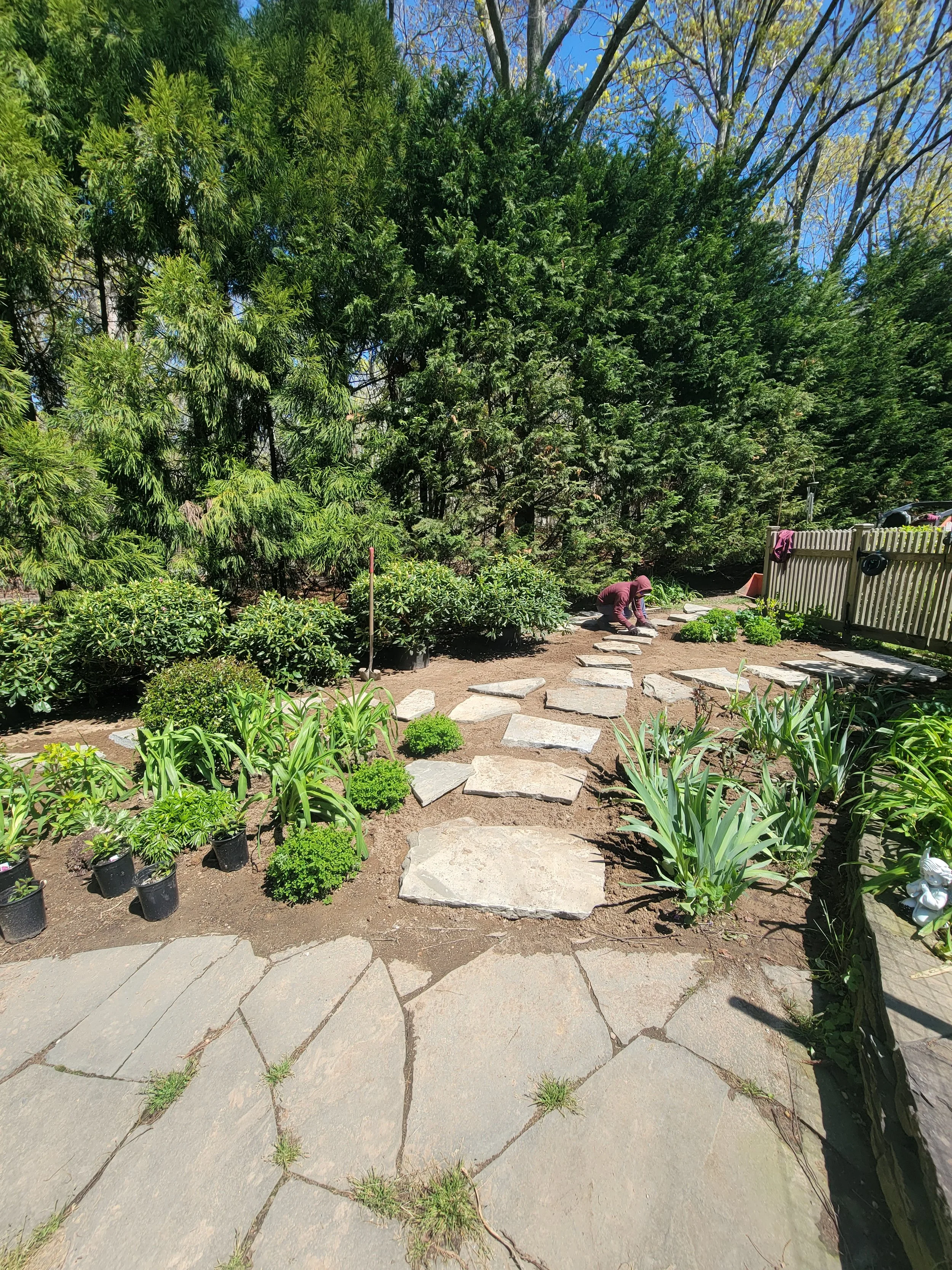 2023-05-08 11.19.50.jpg