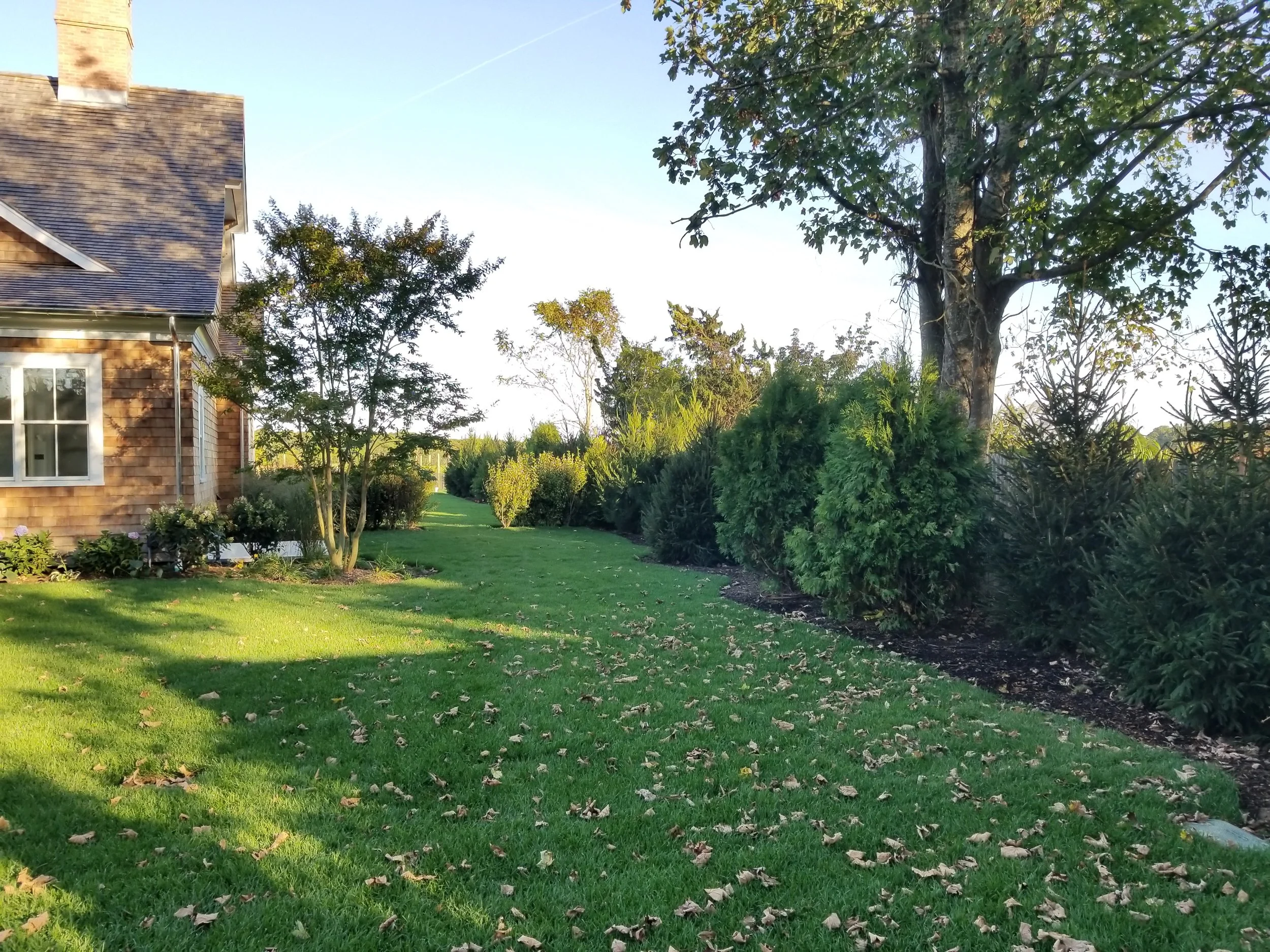 2017-10-03 17.01.45.jpg