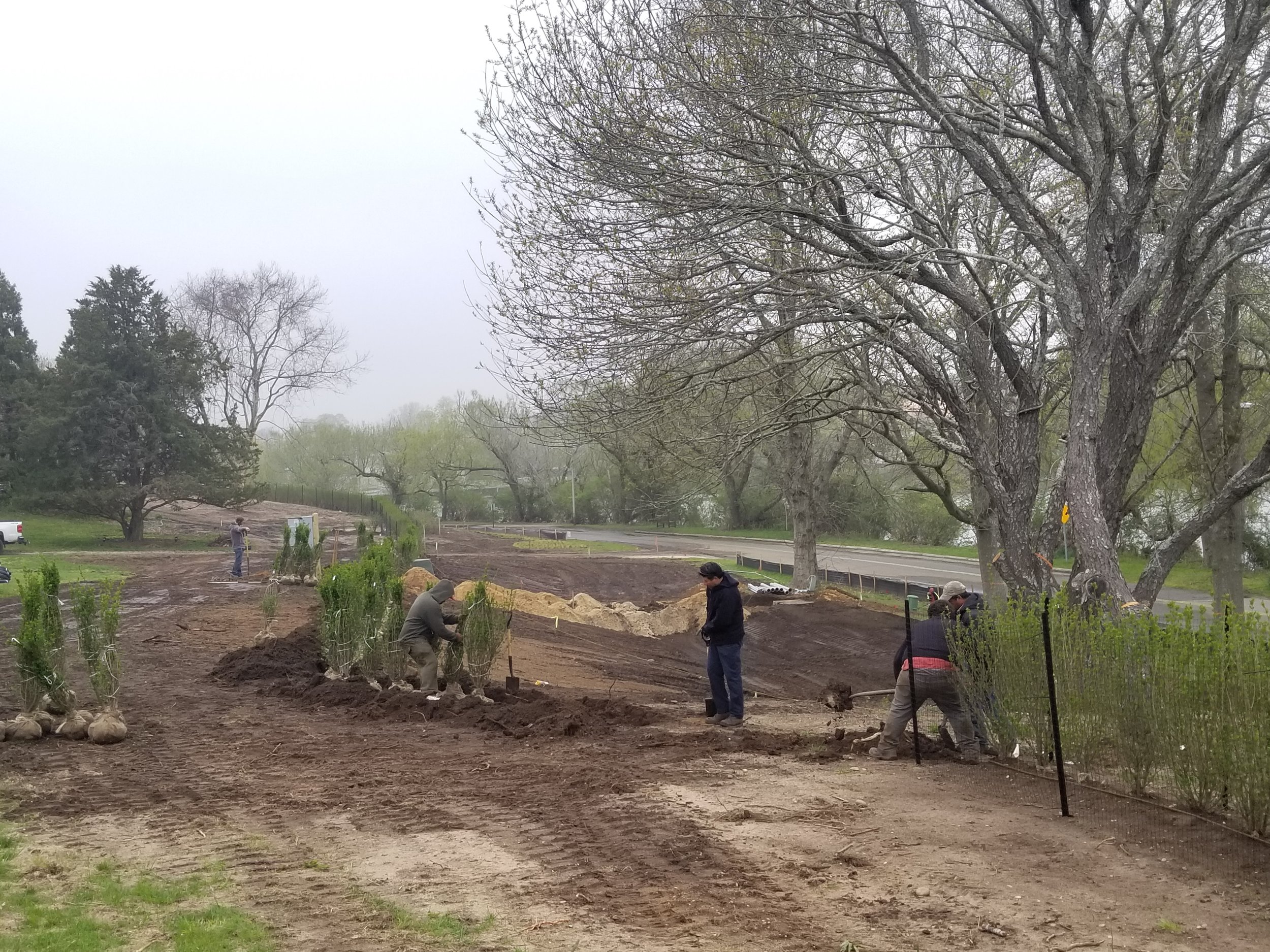 2019-05-03 15.00.06.jpg