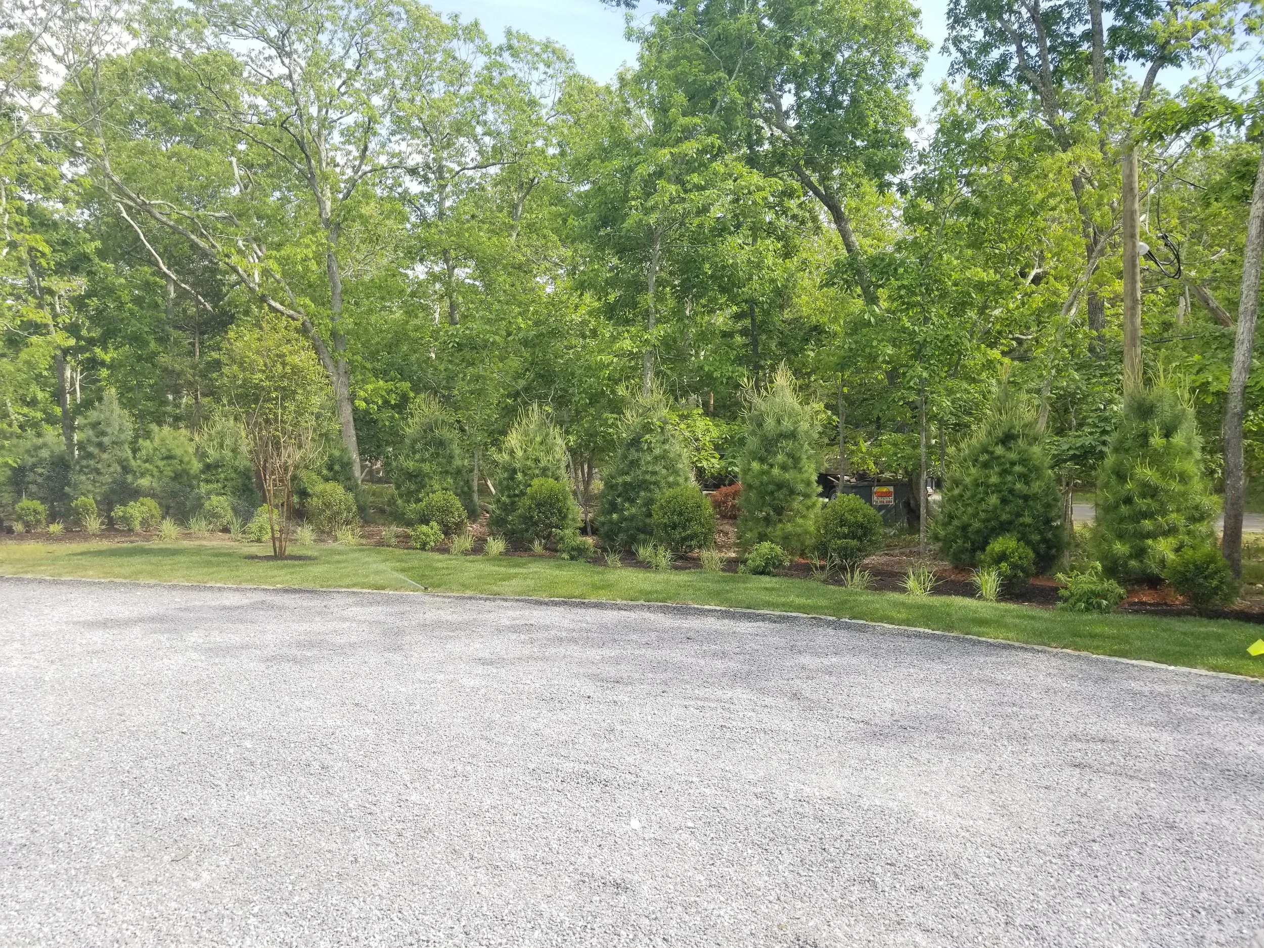 2019-06-04 16.19.14.jpg