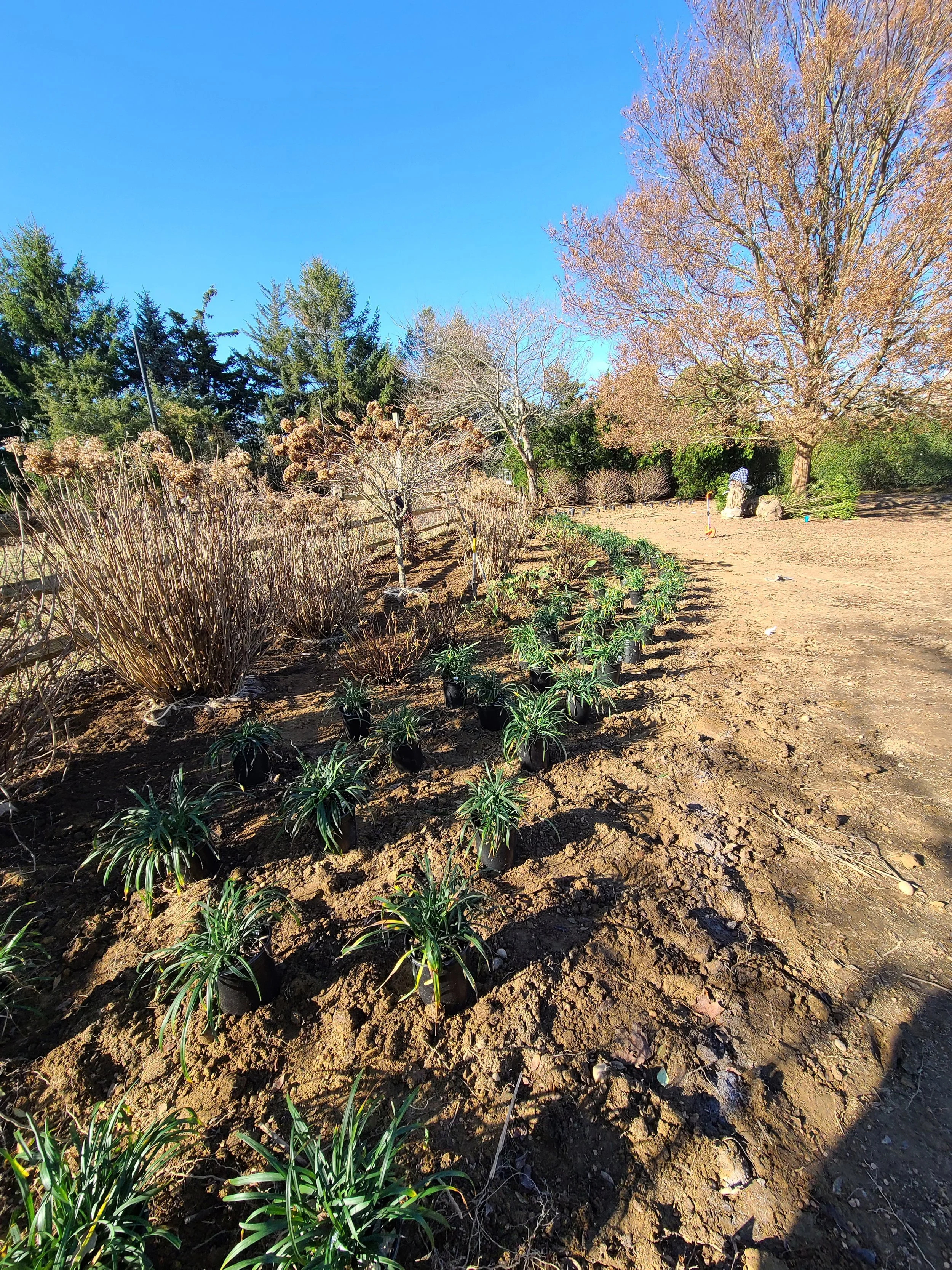 2020-12-03 10.17.02.jpg