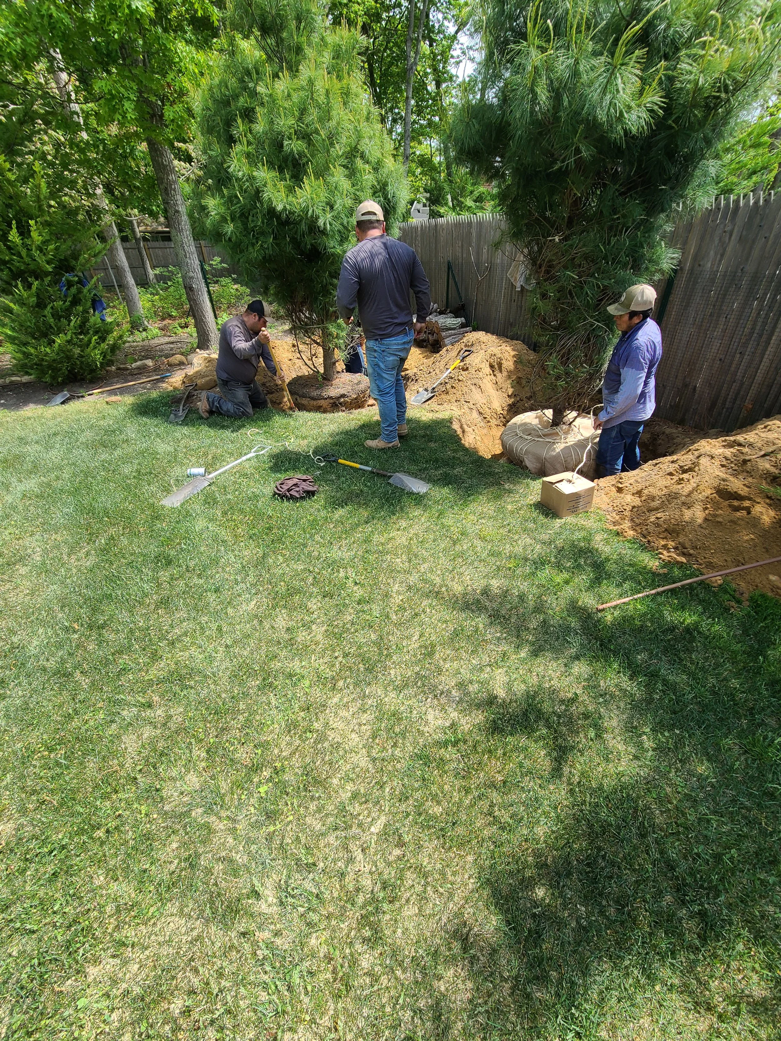 2021-05-22 11.09.45.jpg