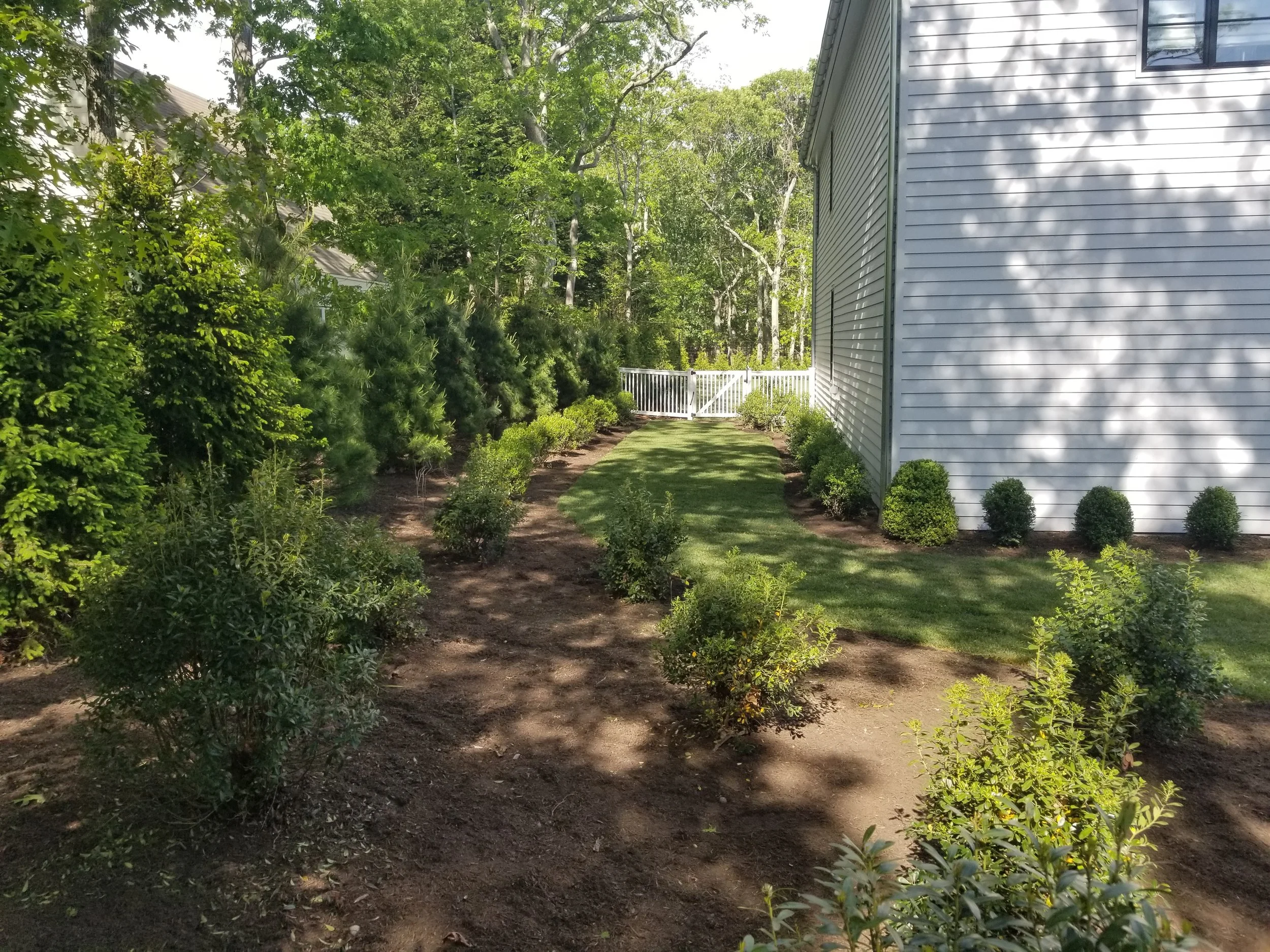 2019-06-04 16.25.10.jpg