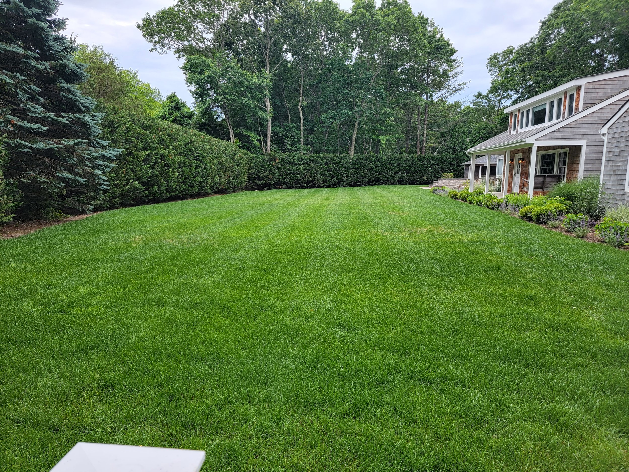 2022-06-14 09.13.56.jpg