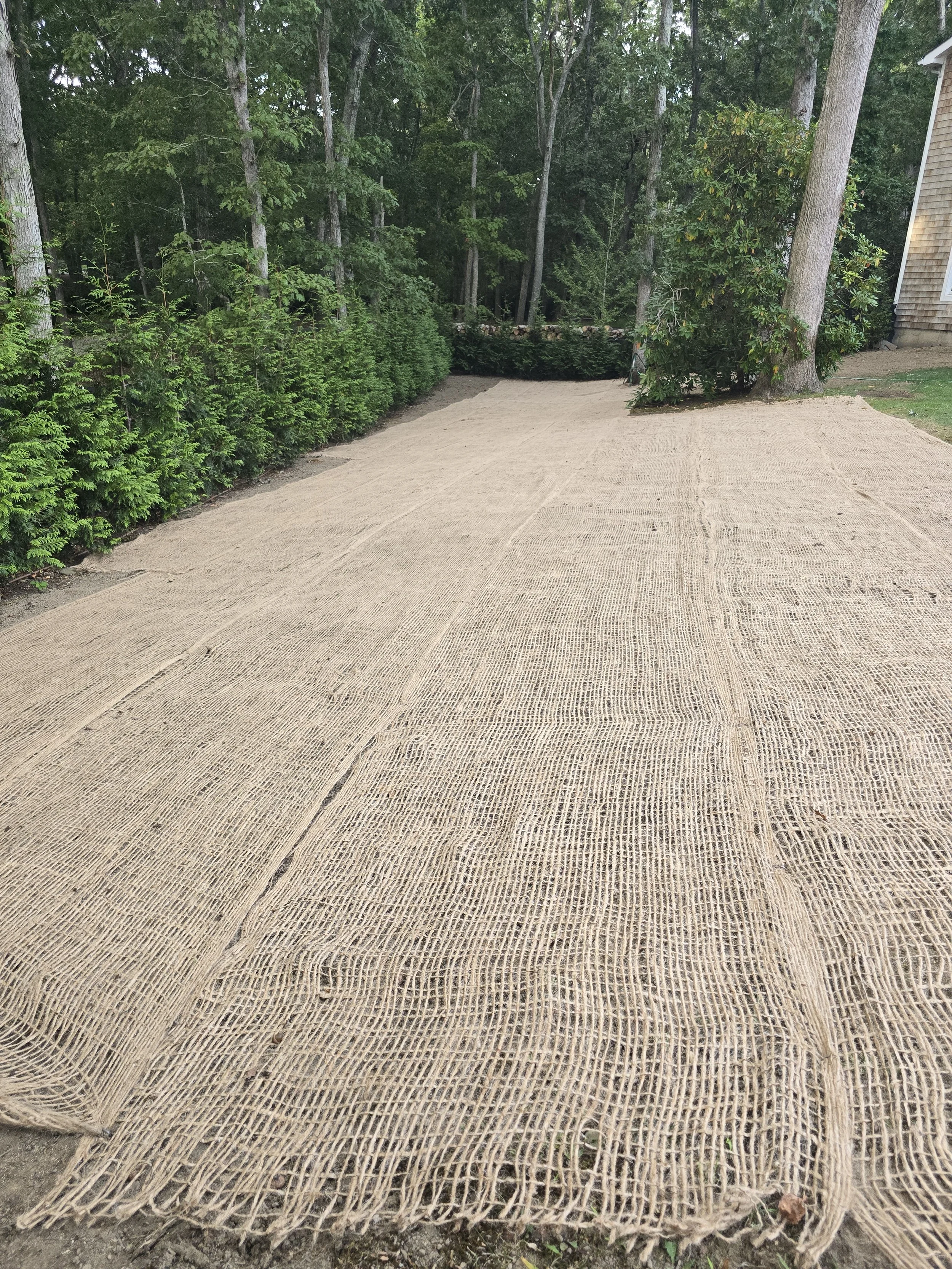 2024-10-01 17.37.41.jpg