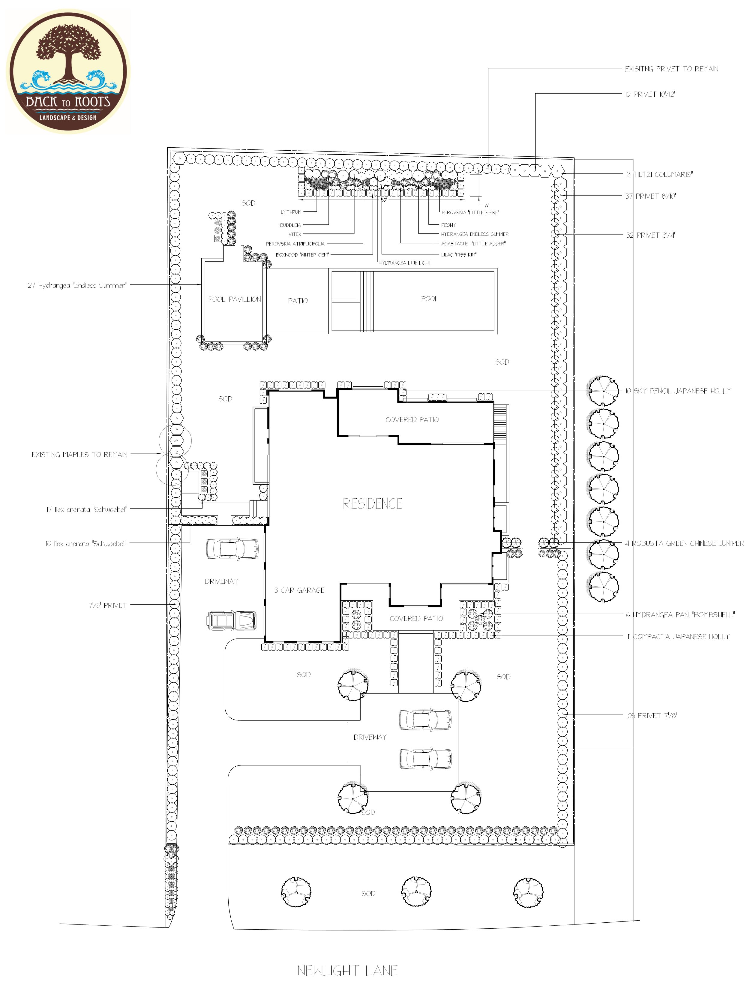 Newlight cropped.jpg