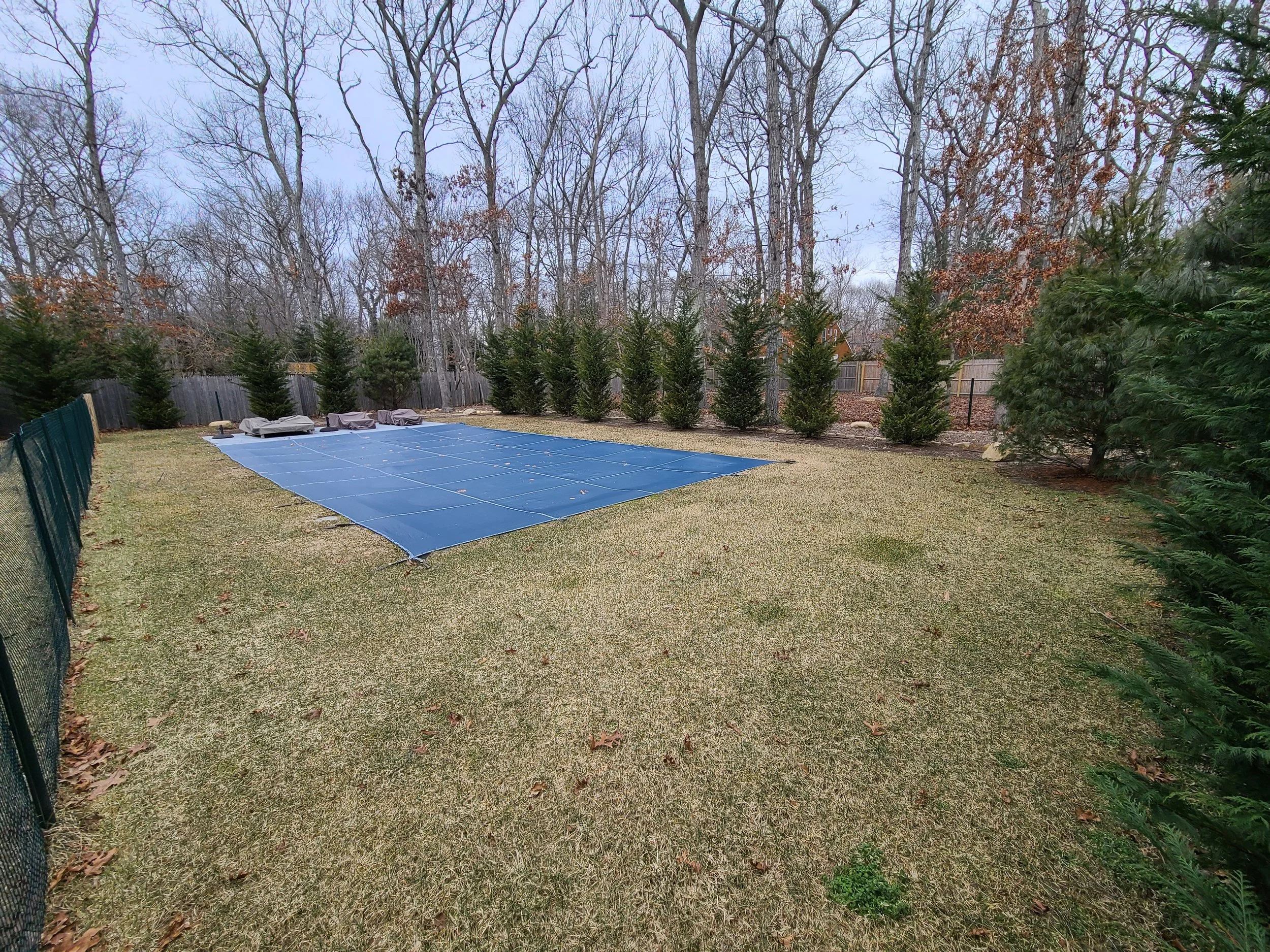 2021-01-31 12.29.24.jpg