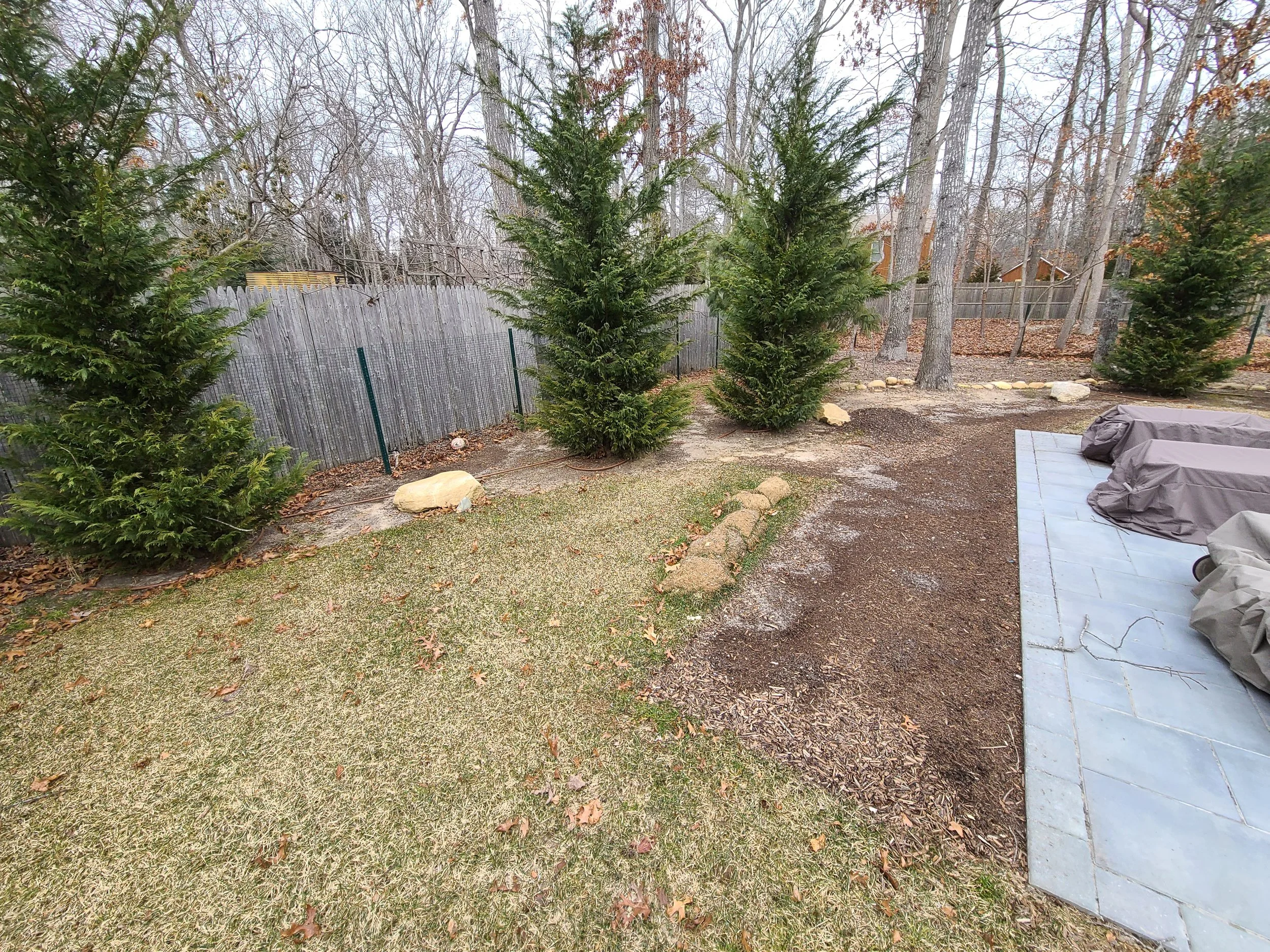 2021-01-31 12.28.27.jpg