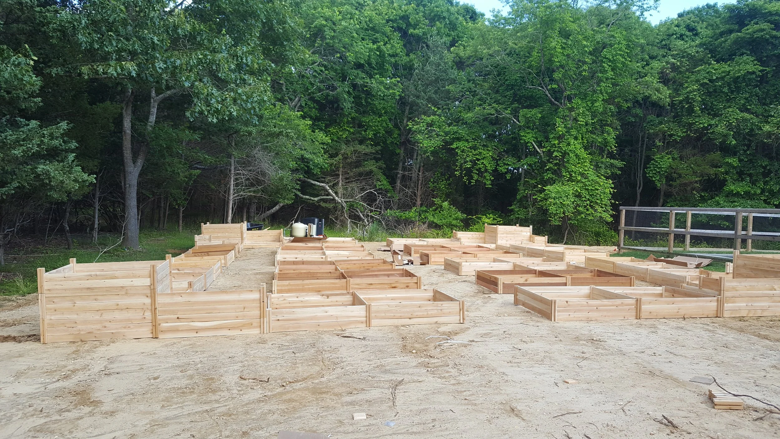 2017-06-25 17.07.08.jpg