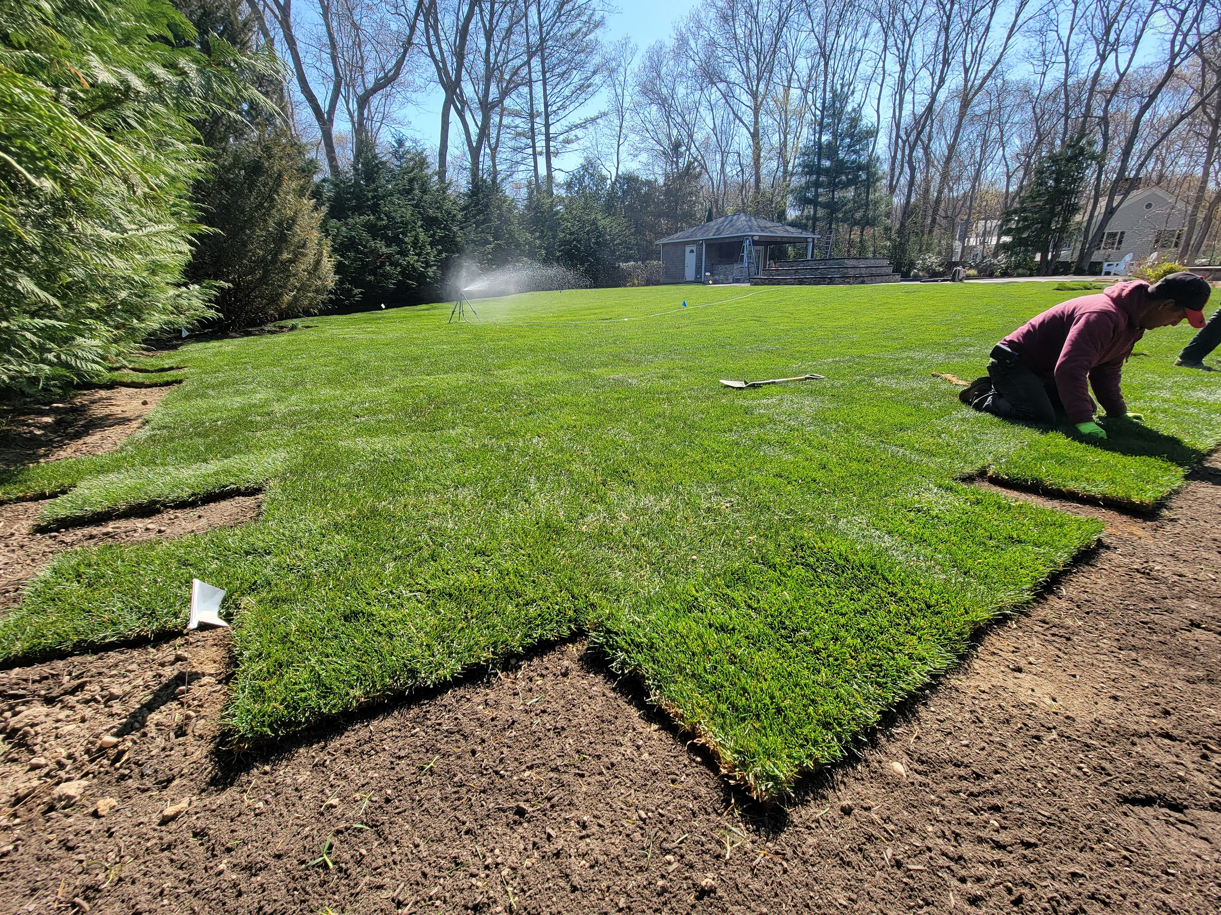 New Sod after Drainage Remediation. Deerfield Rd. Water Mill, NY