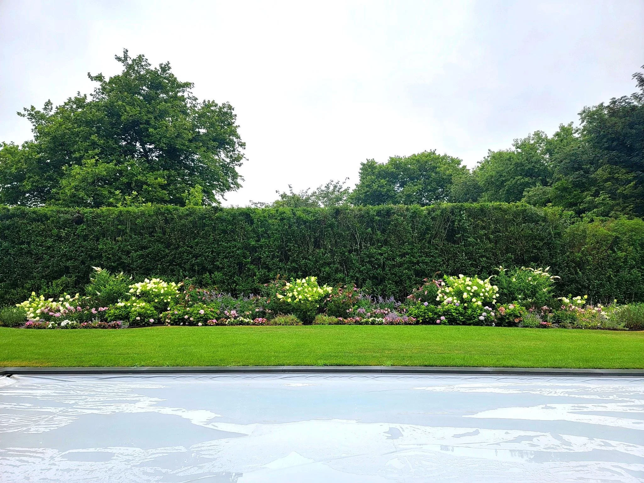 newlight enhanced_garden_vibrant.jpg