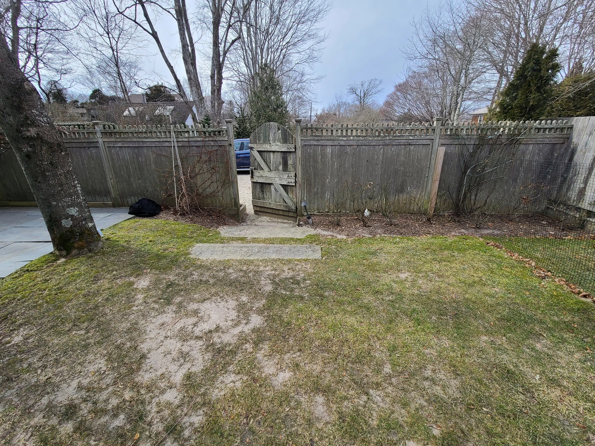 2021-01-31 12.59.56.jpg