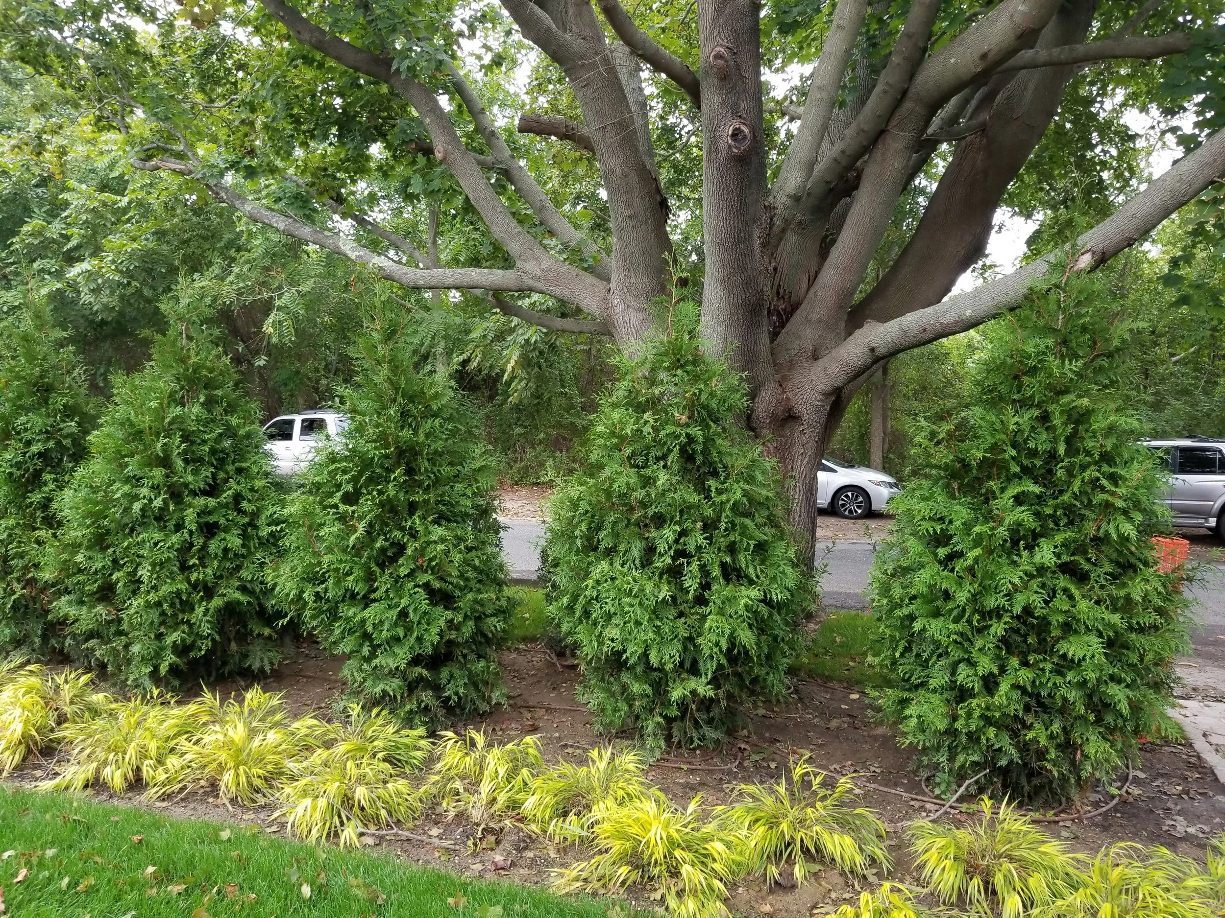 2017-09-21 13.38.40.jpg