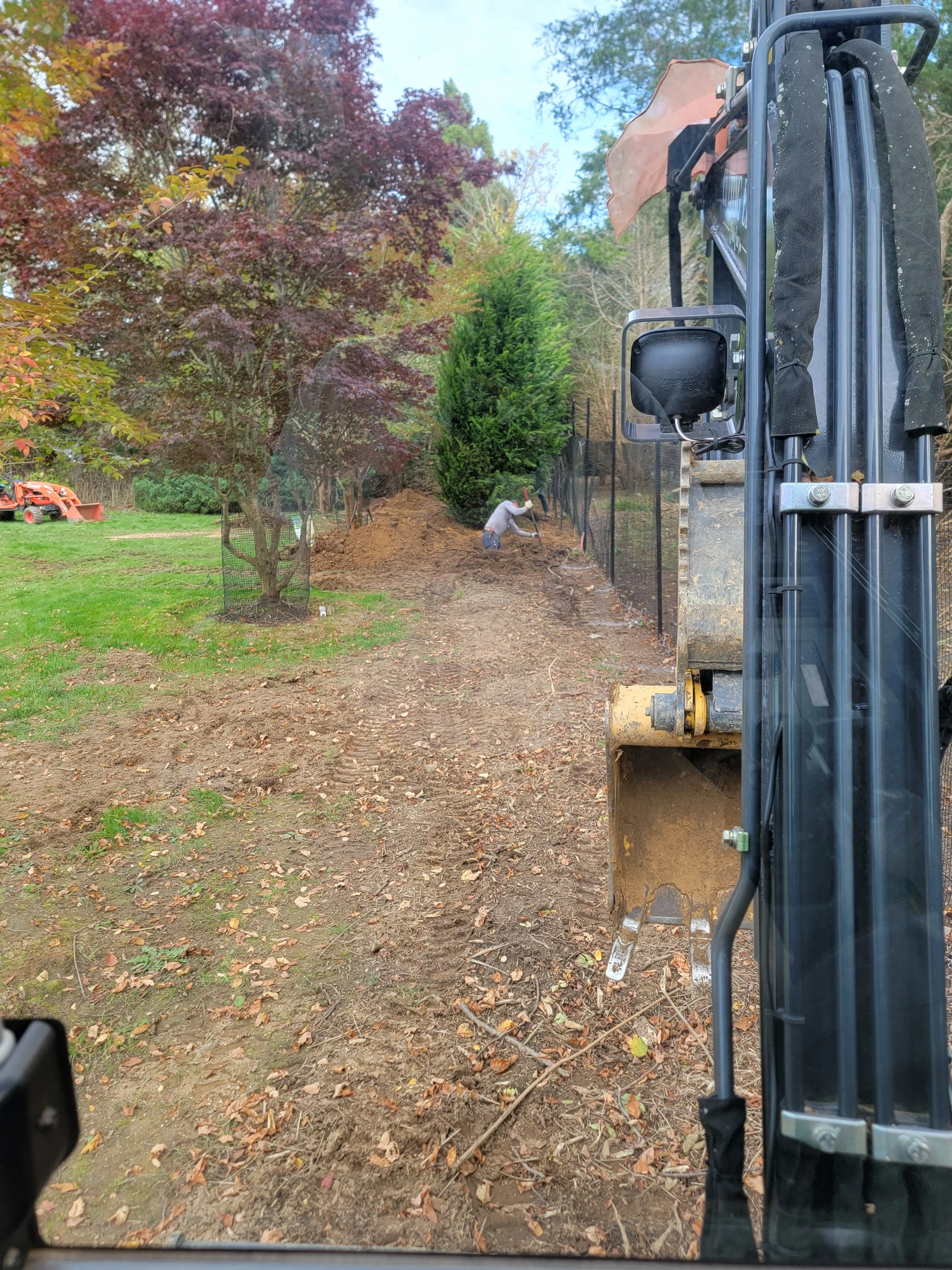 Installation of 222' to 24' Leyland Cypress trees for screening