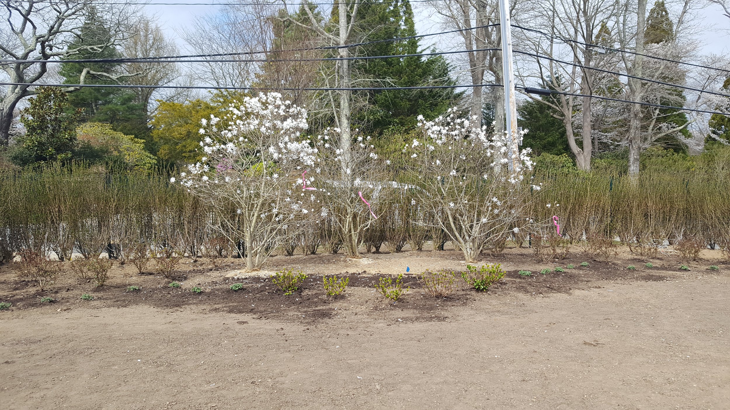 2017-04-19 10.46.02.jpg