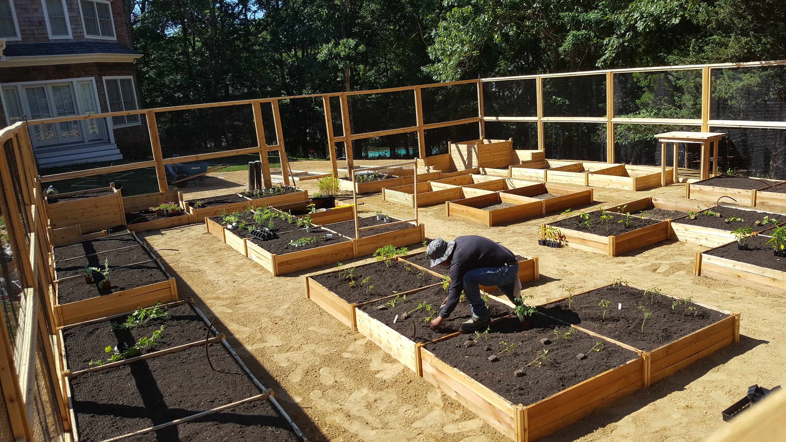 2017-07-09 16.00.33.jpg