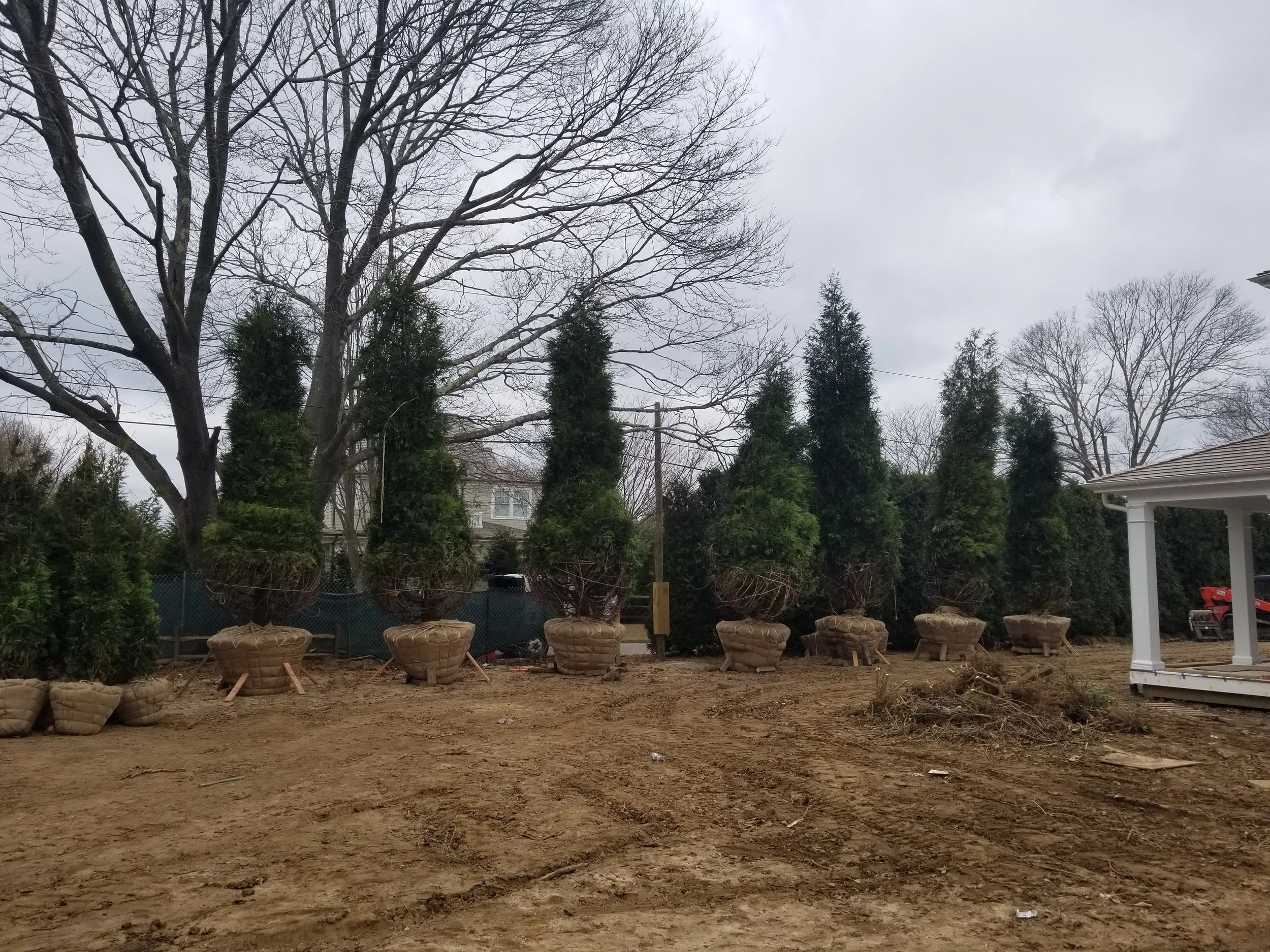 2018-12-13 09.20.46.jpg