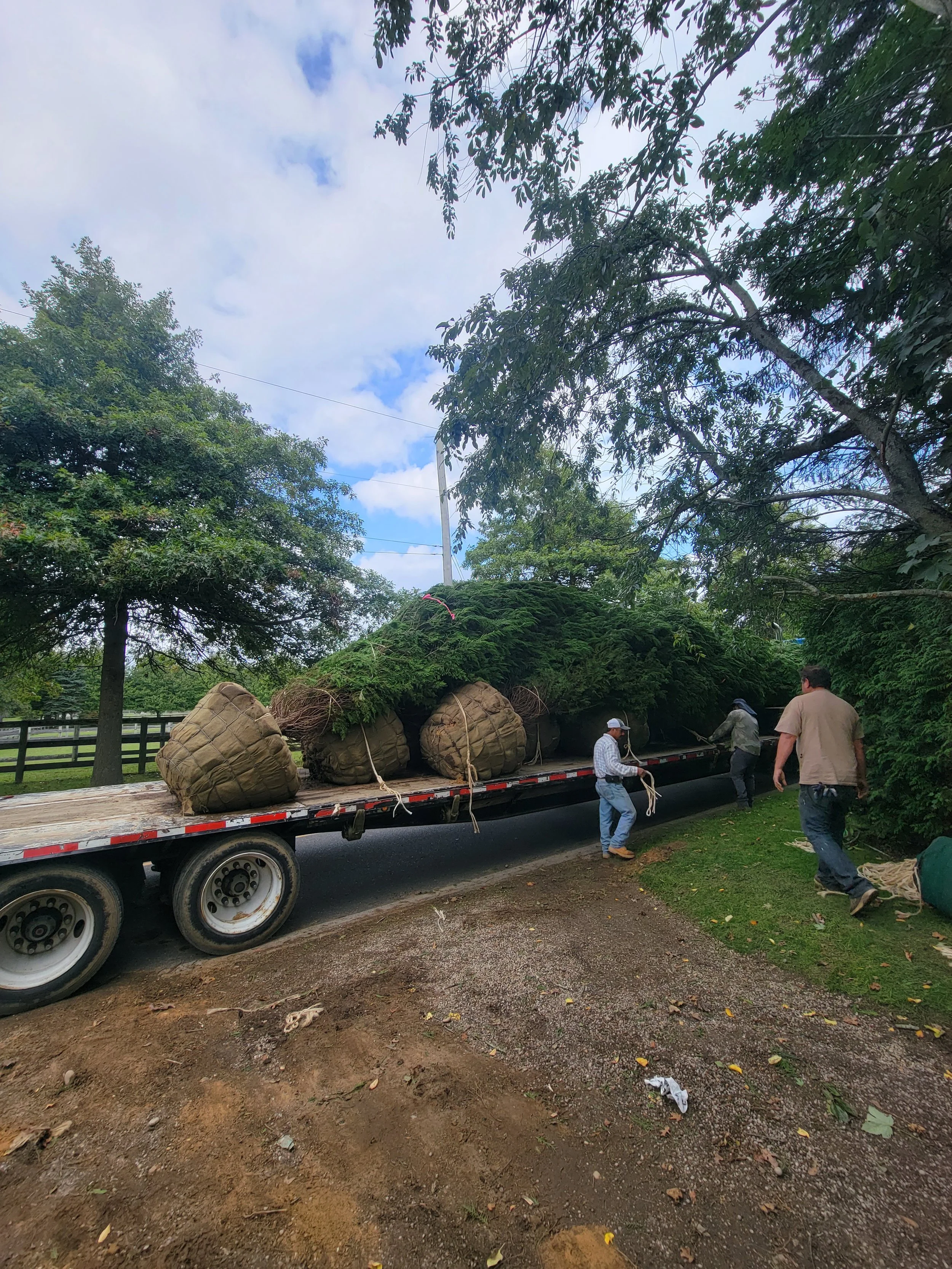 2023-10-06 14.29.14.jpg