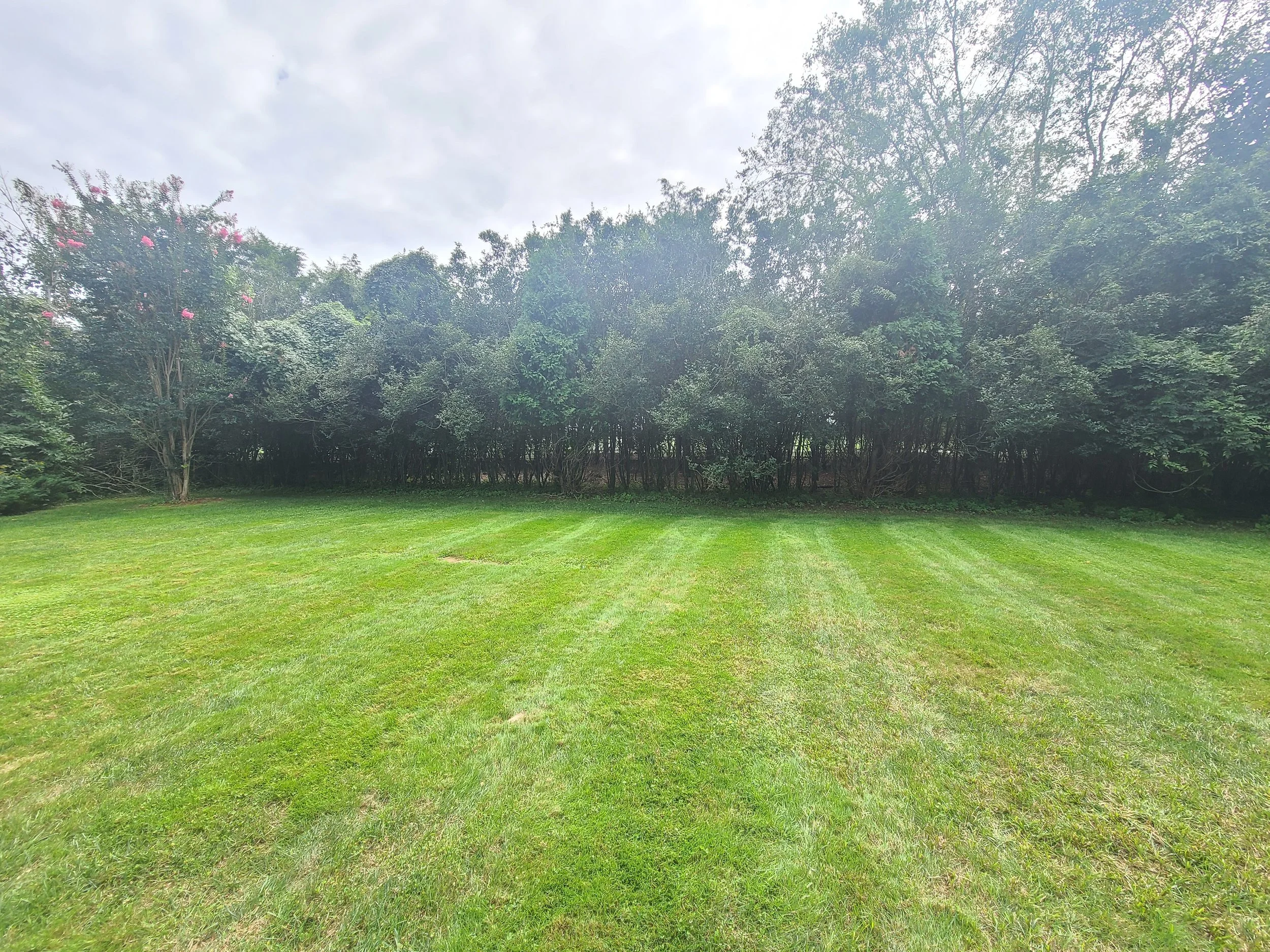 20210921_141736 - Copy (2).jpg