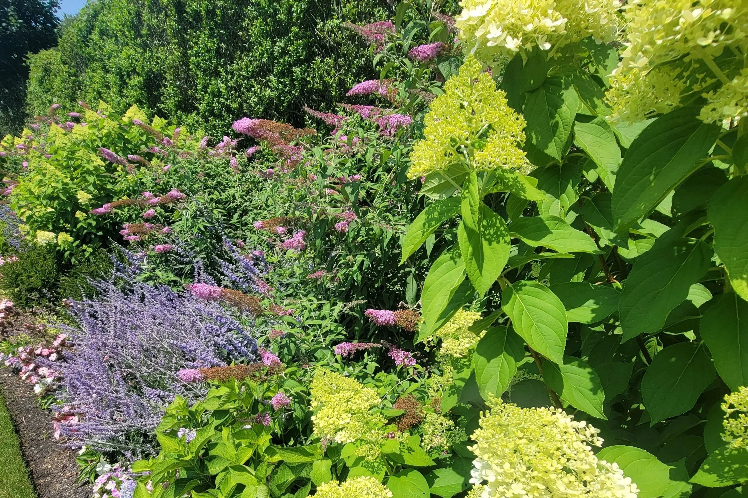 Bridgehampton Perennial Garden