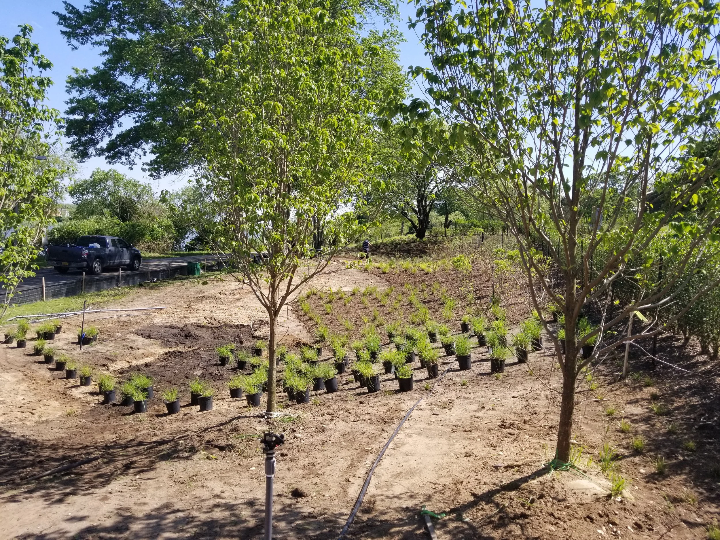 2019-06-03 15.27.04.jpg