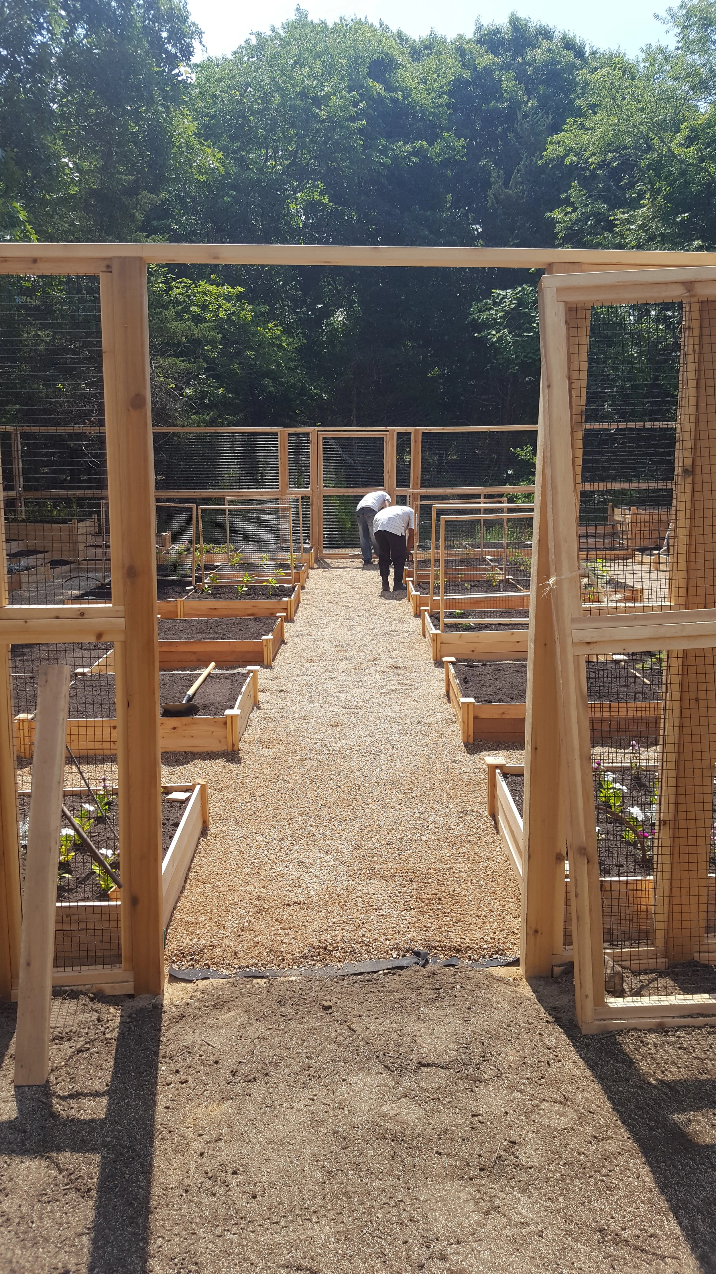 2017-07-11 10.51.35.jpg