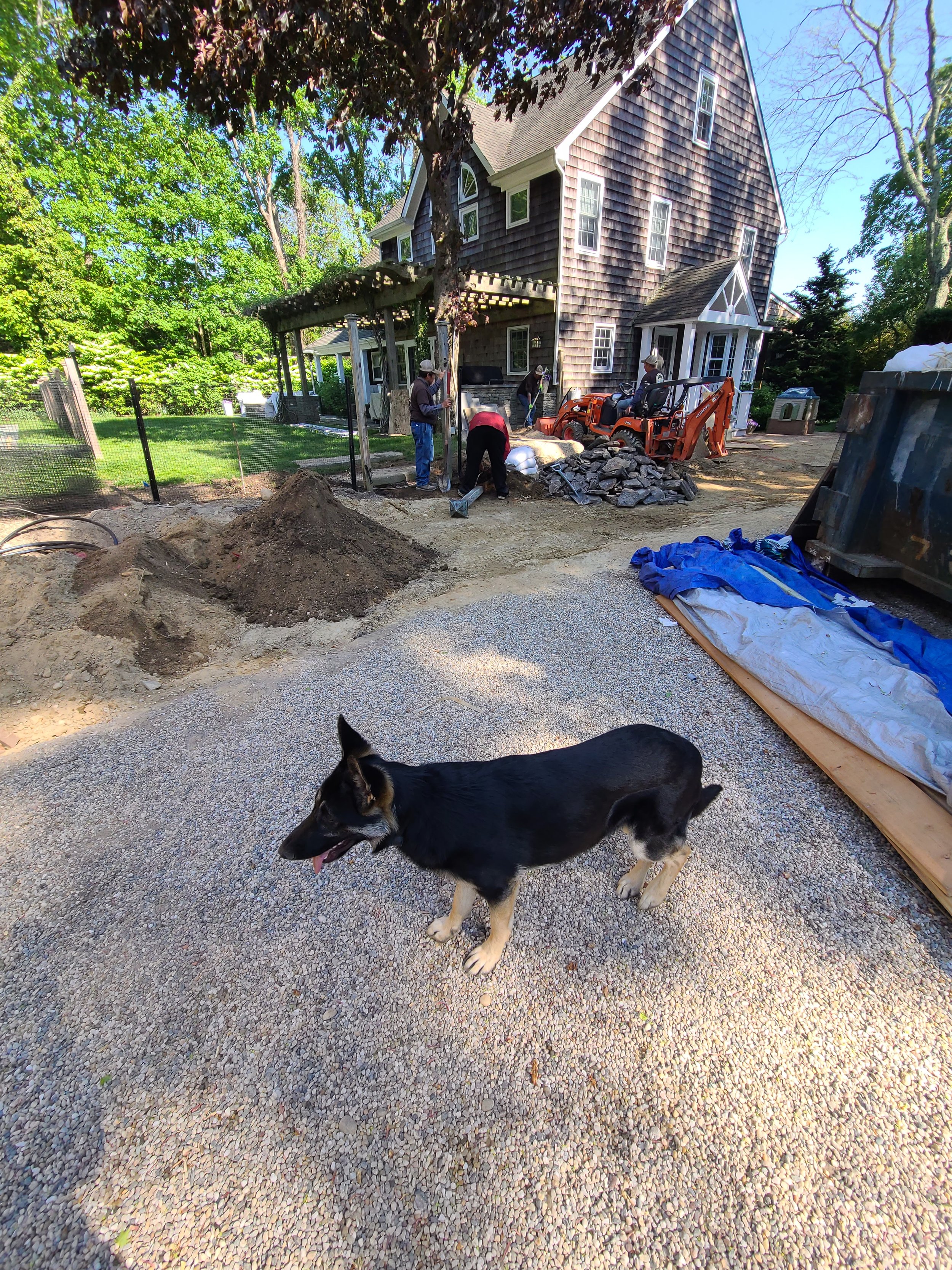 2021-05-18 16.20.19.jpg