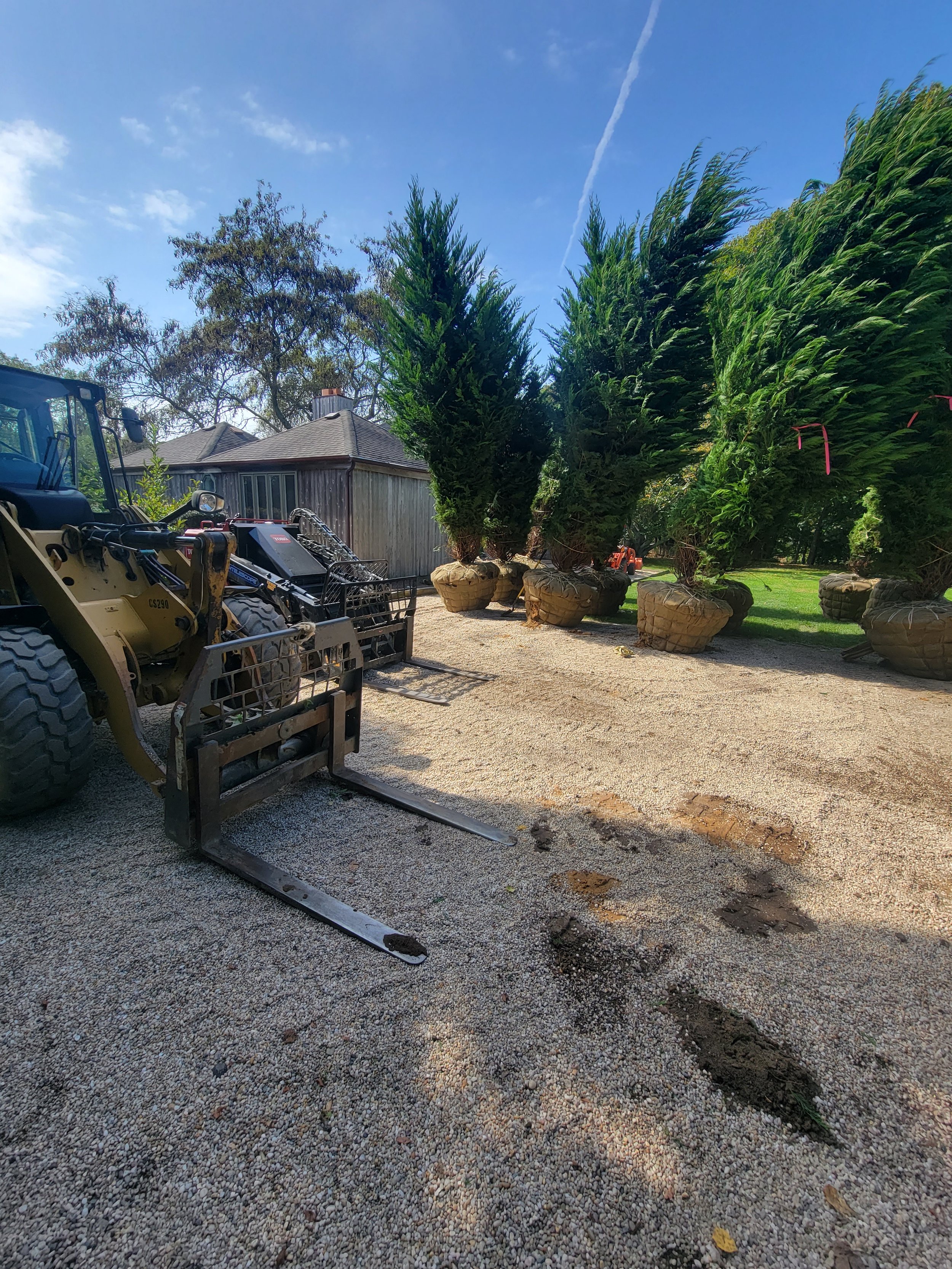 2023-10-06 12.33.03.jpg