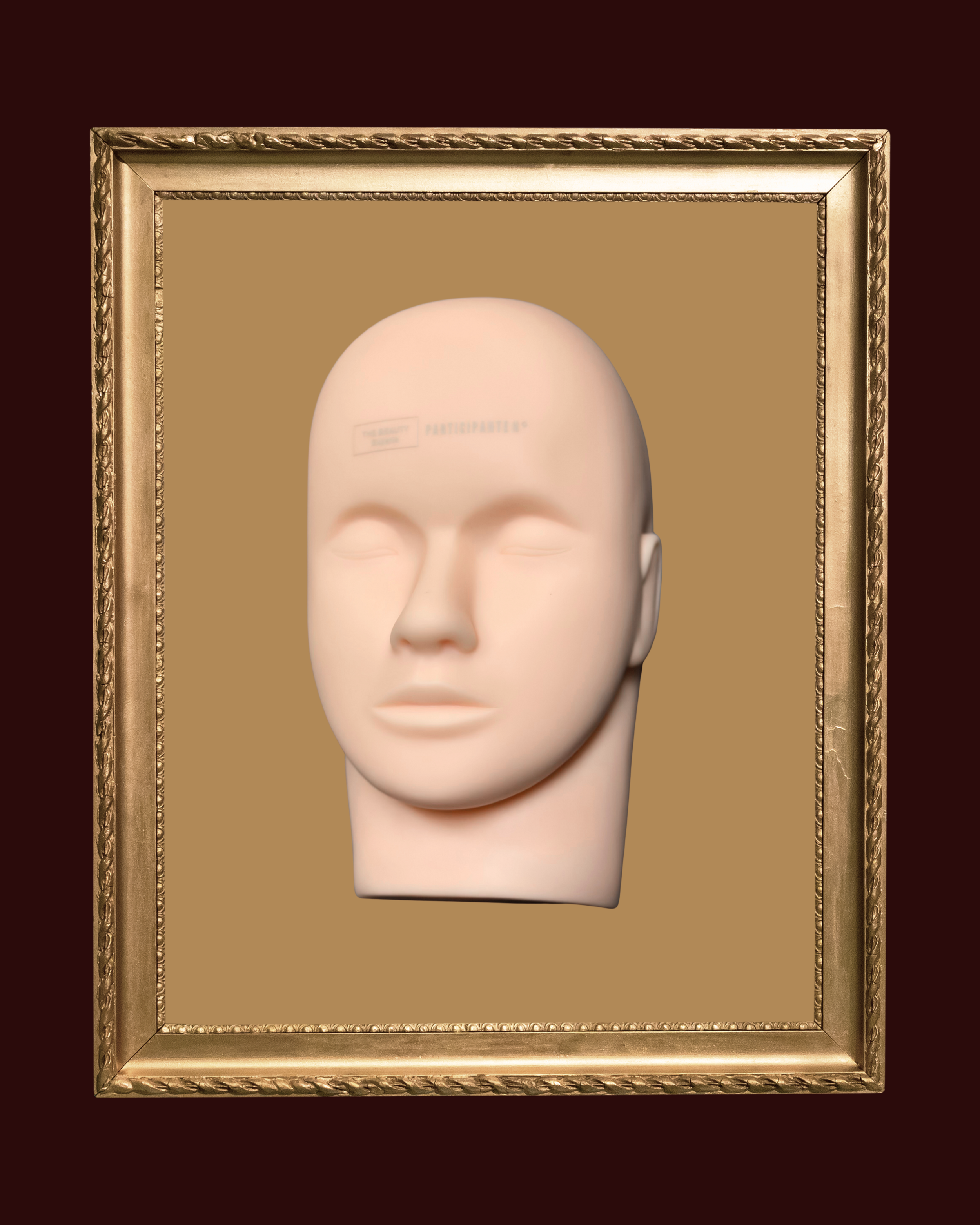 MEDIA CABEZA DE LÁTEX SMP