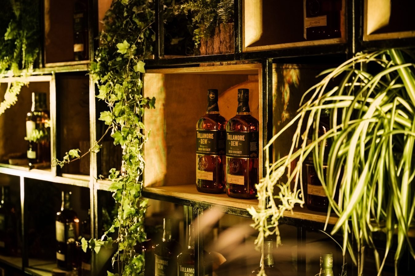 Tullamore Dew @Scanorama