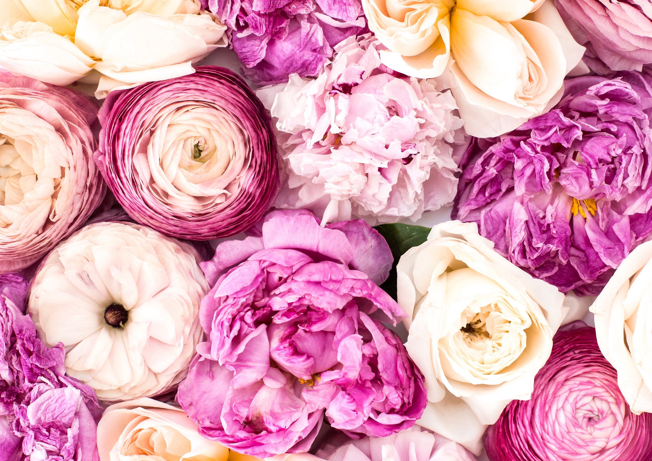 Grief and emotional healing after pregnancy or infant loss