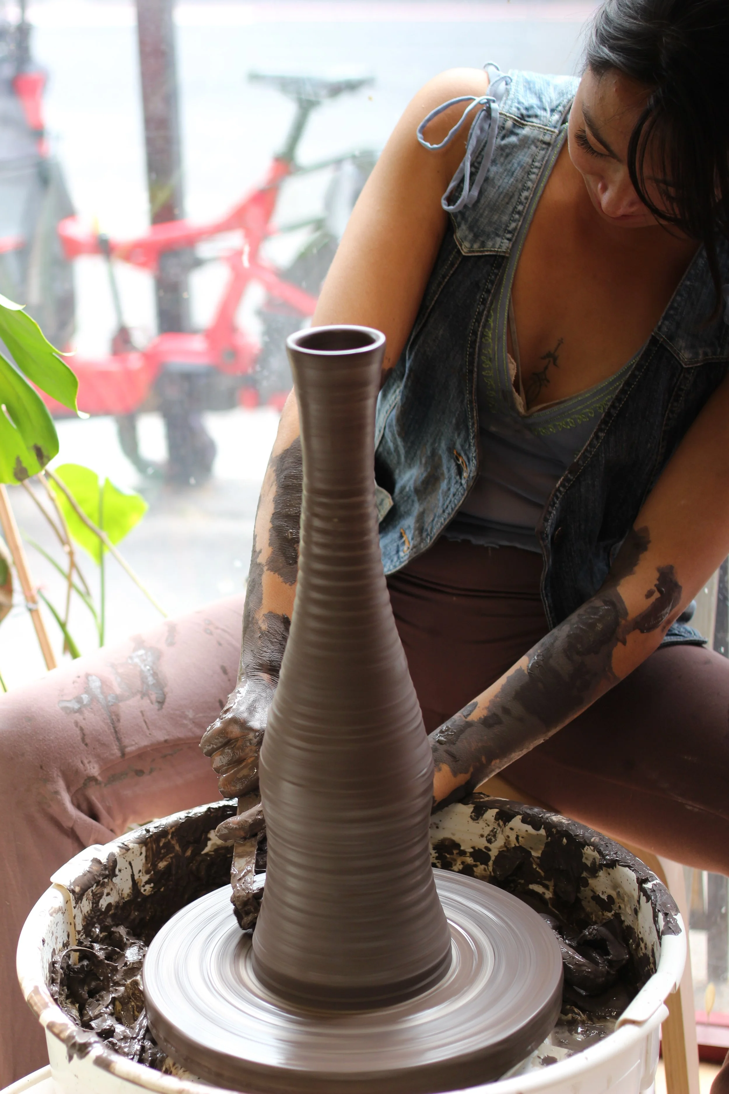 Brighton and home / 2025