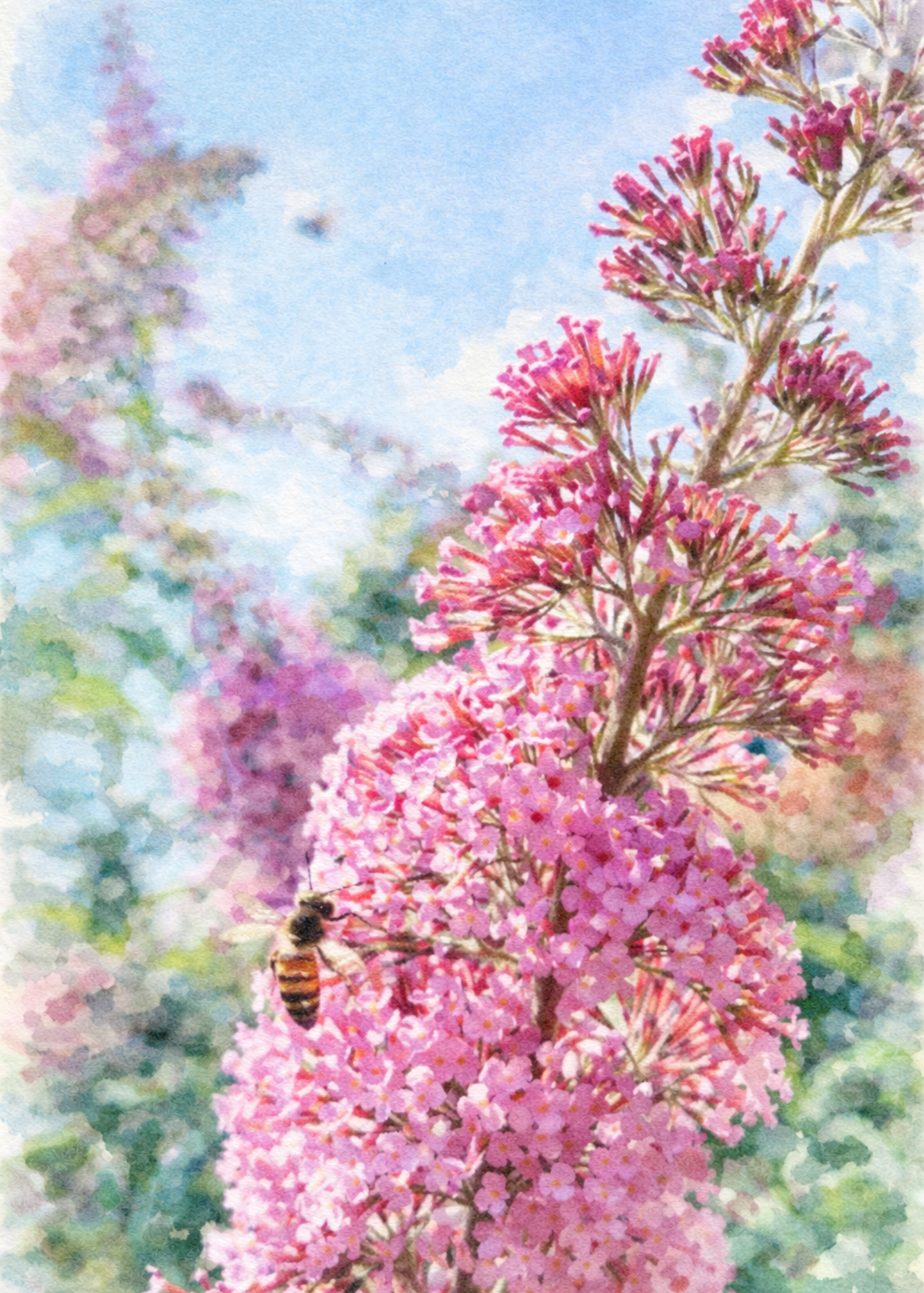 Farmstead Watercolors: Honeybee Bloom Note Card