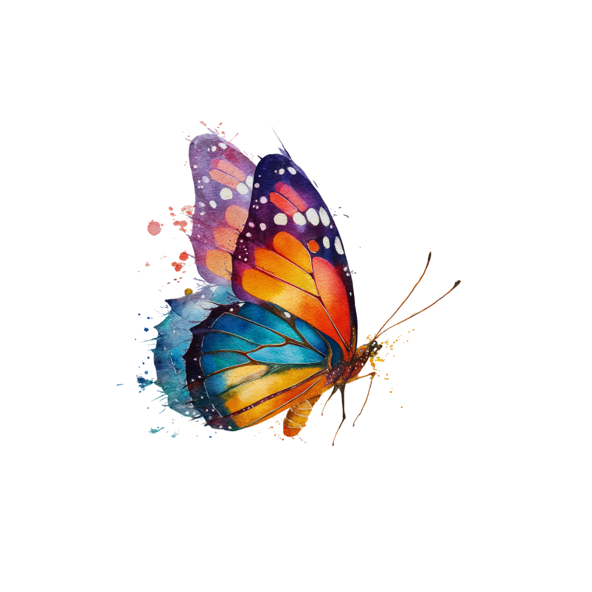 Colorful butterfly with orange, blue, and purple wings.