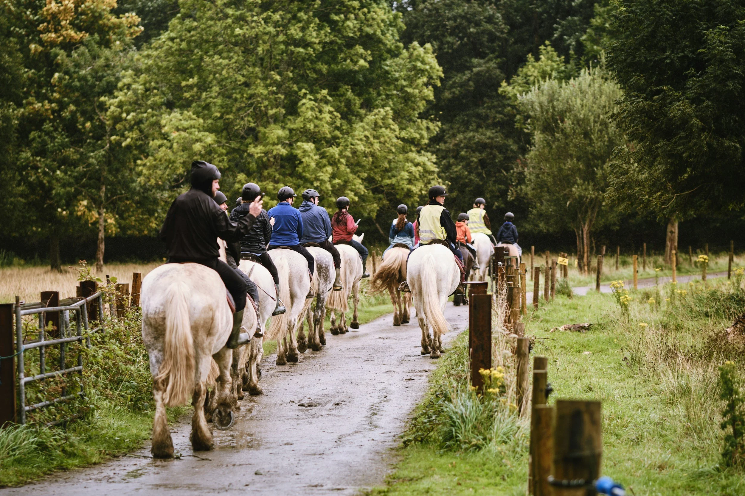 Group of people riding horses on a trail through a lush green forest.