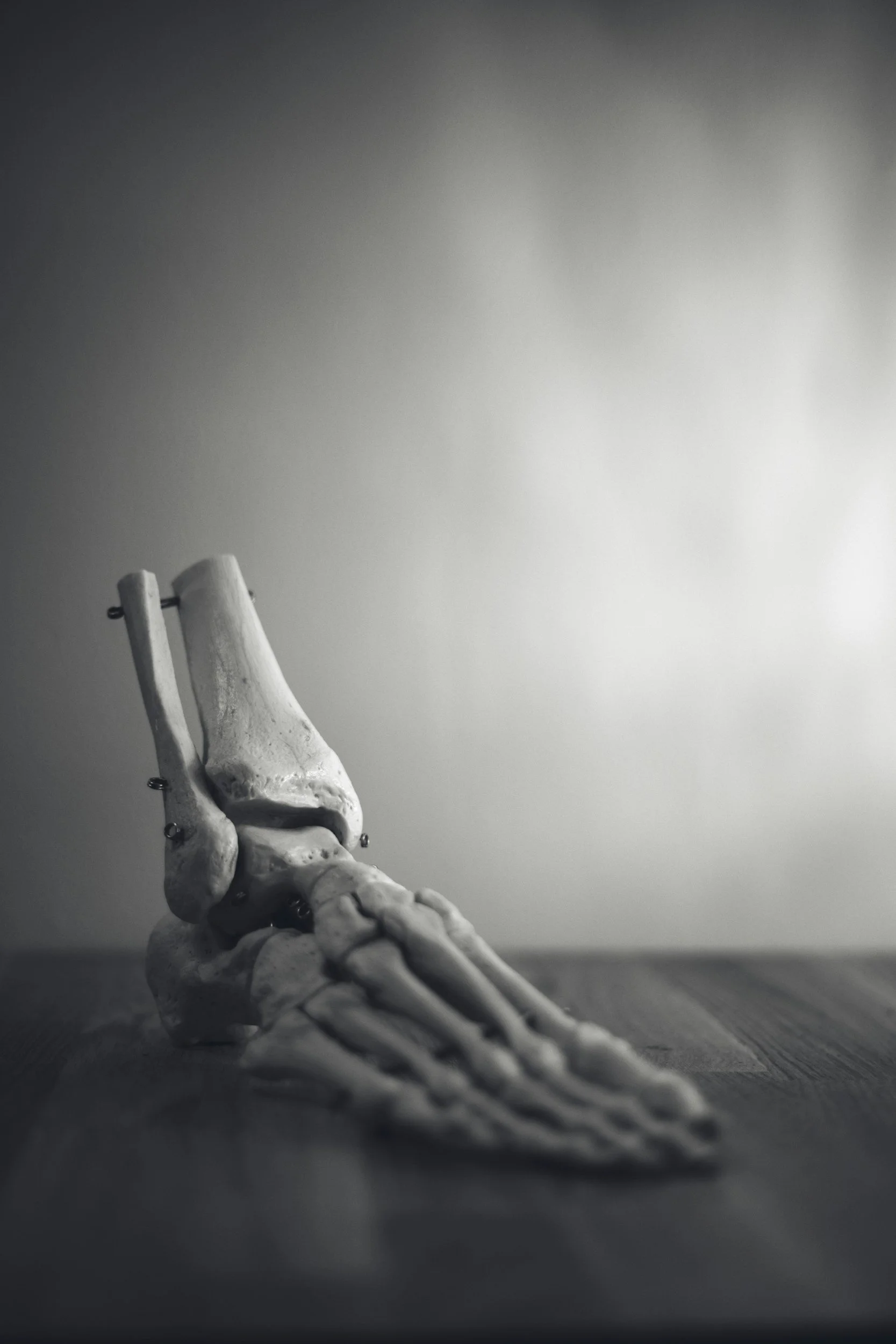 A skeletal foot resting on a wooden surface, with some screws attached, in black and white.