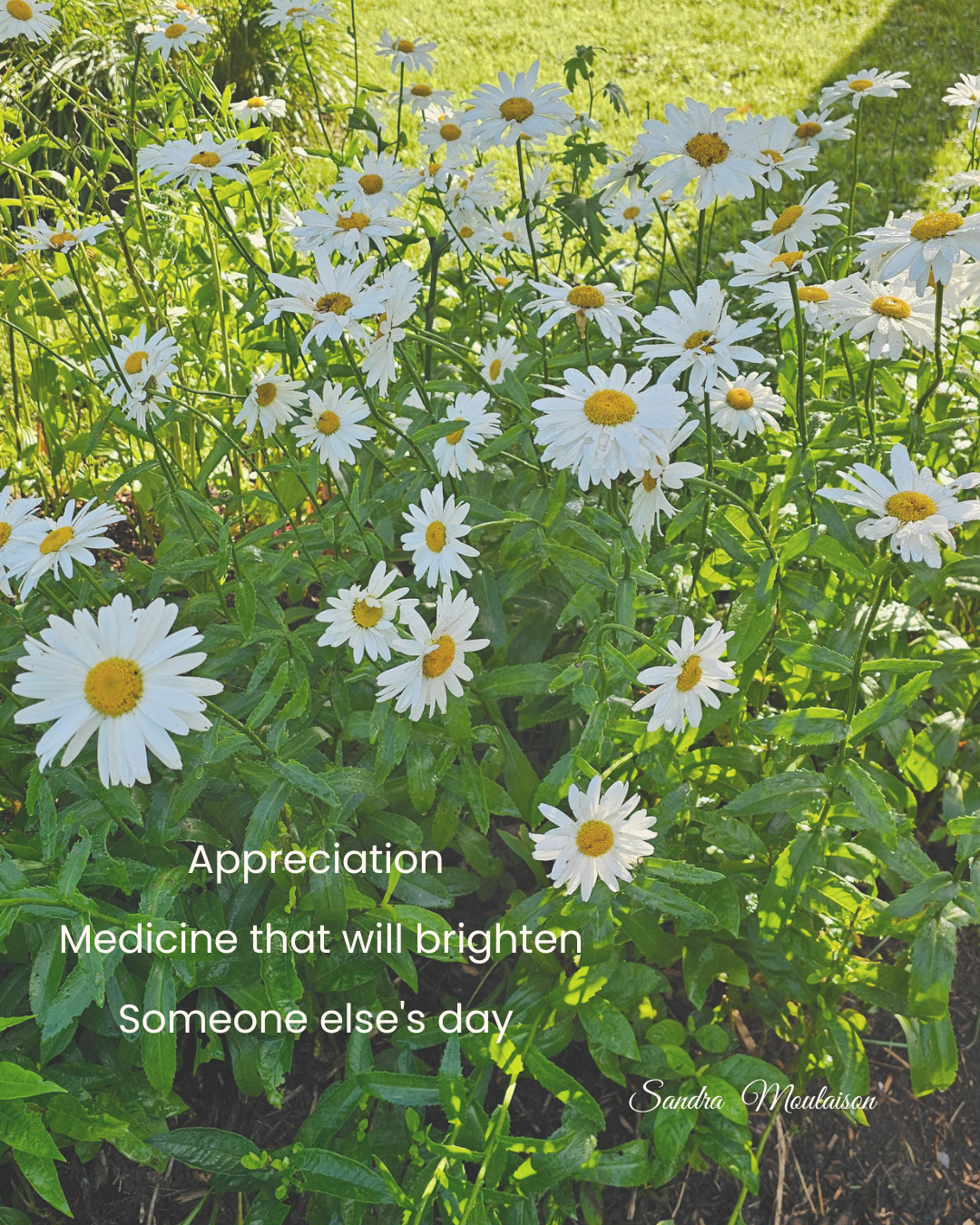 Post 10 - Appreciation .png