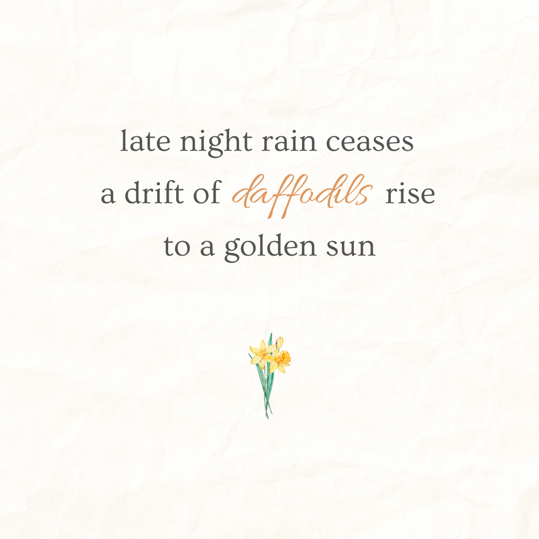 daffodils - Spring .png