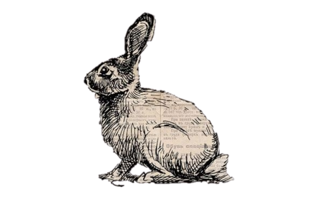 A black and white sketch of a rabbit with text in its body.