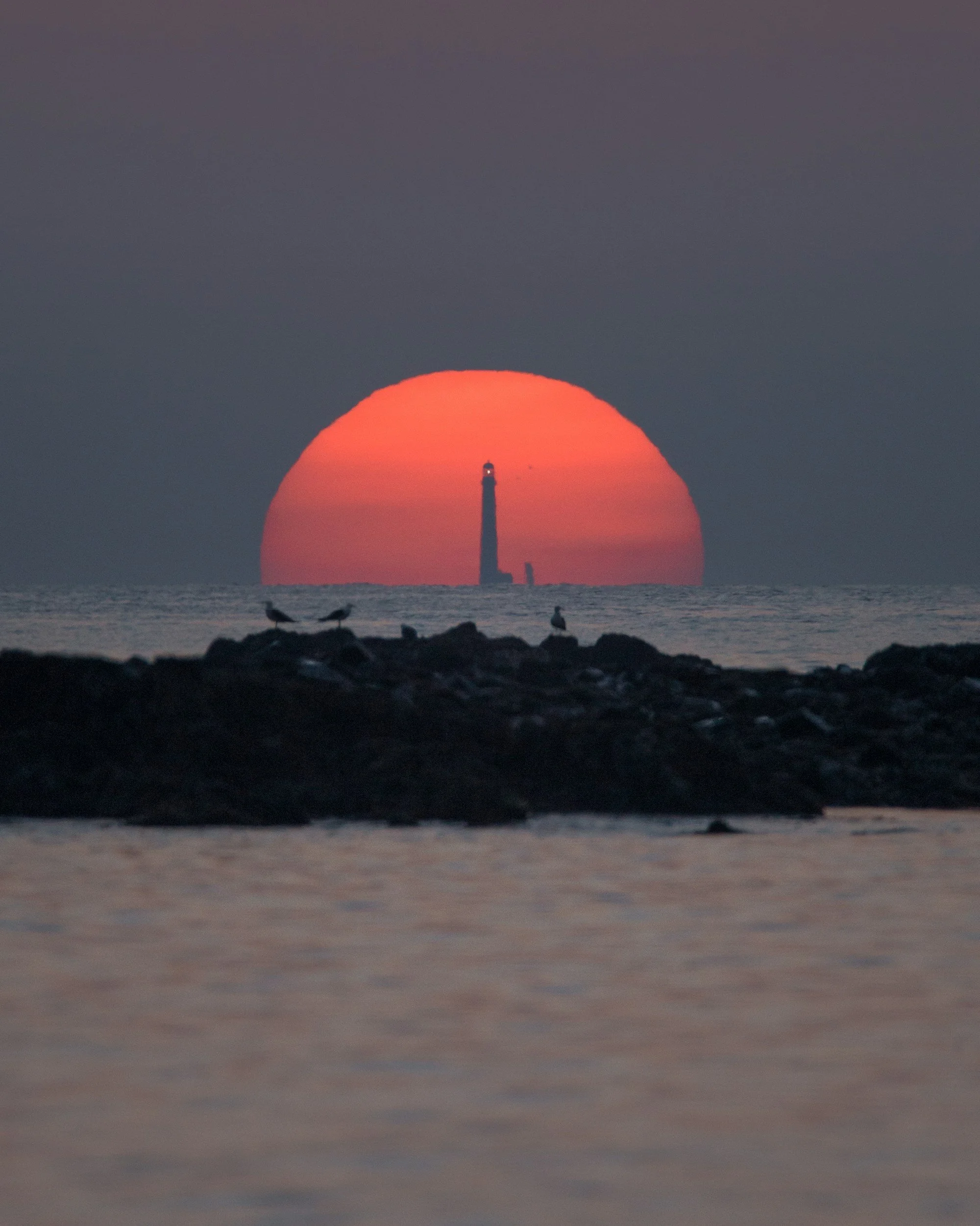 Sunset over water with lighthouse in the distance and rocky shoreline with birds in the foreground.