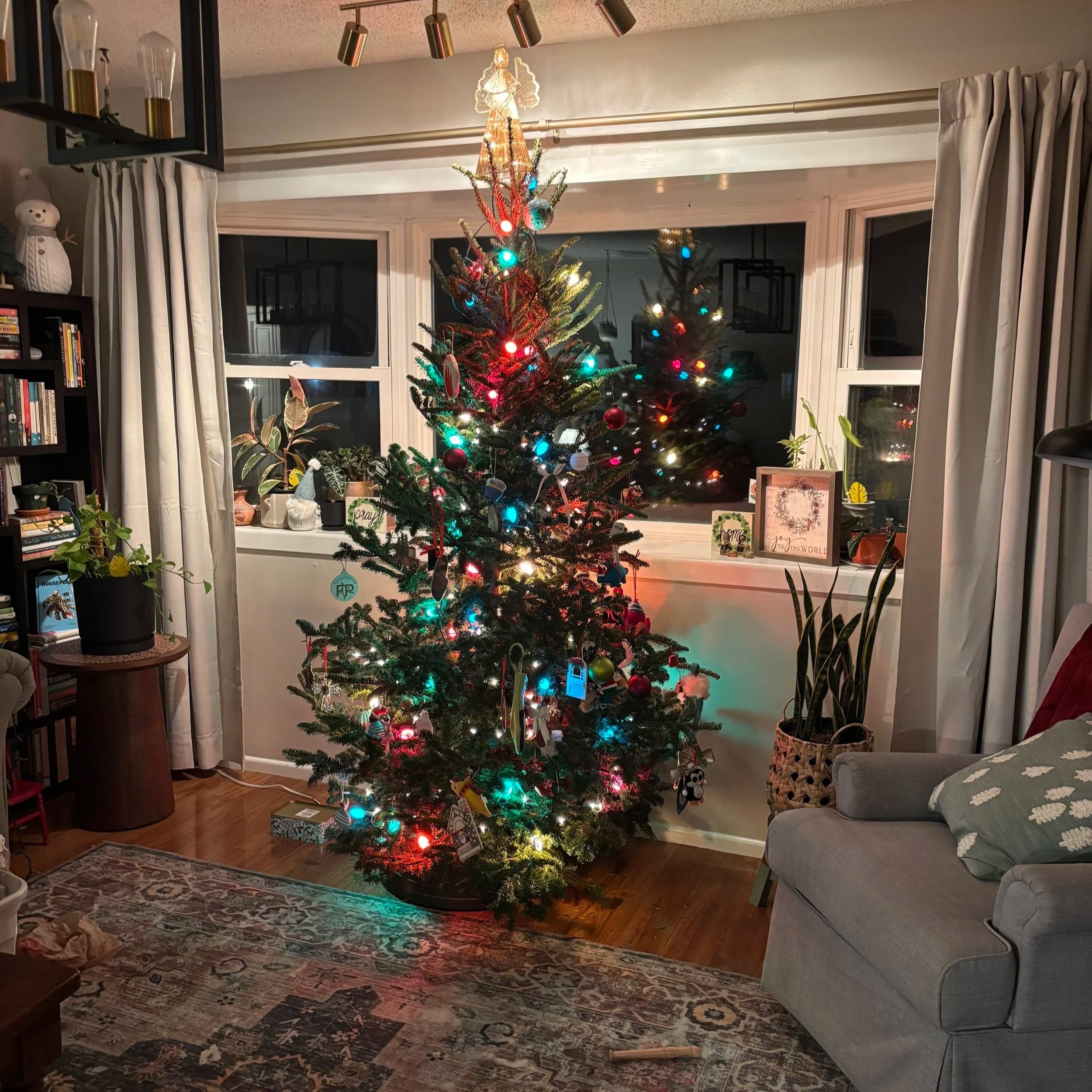 Ashes Denote: An Old Christmas Tree