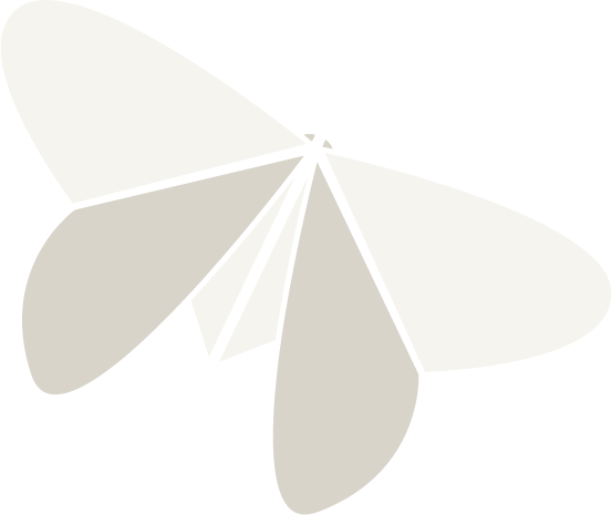 Illustration of a paper colored origami butterfly