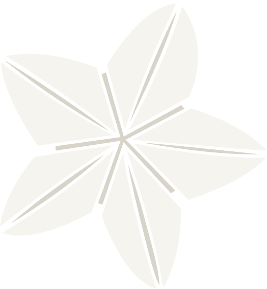 Illustration of a paper colored origami lotus